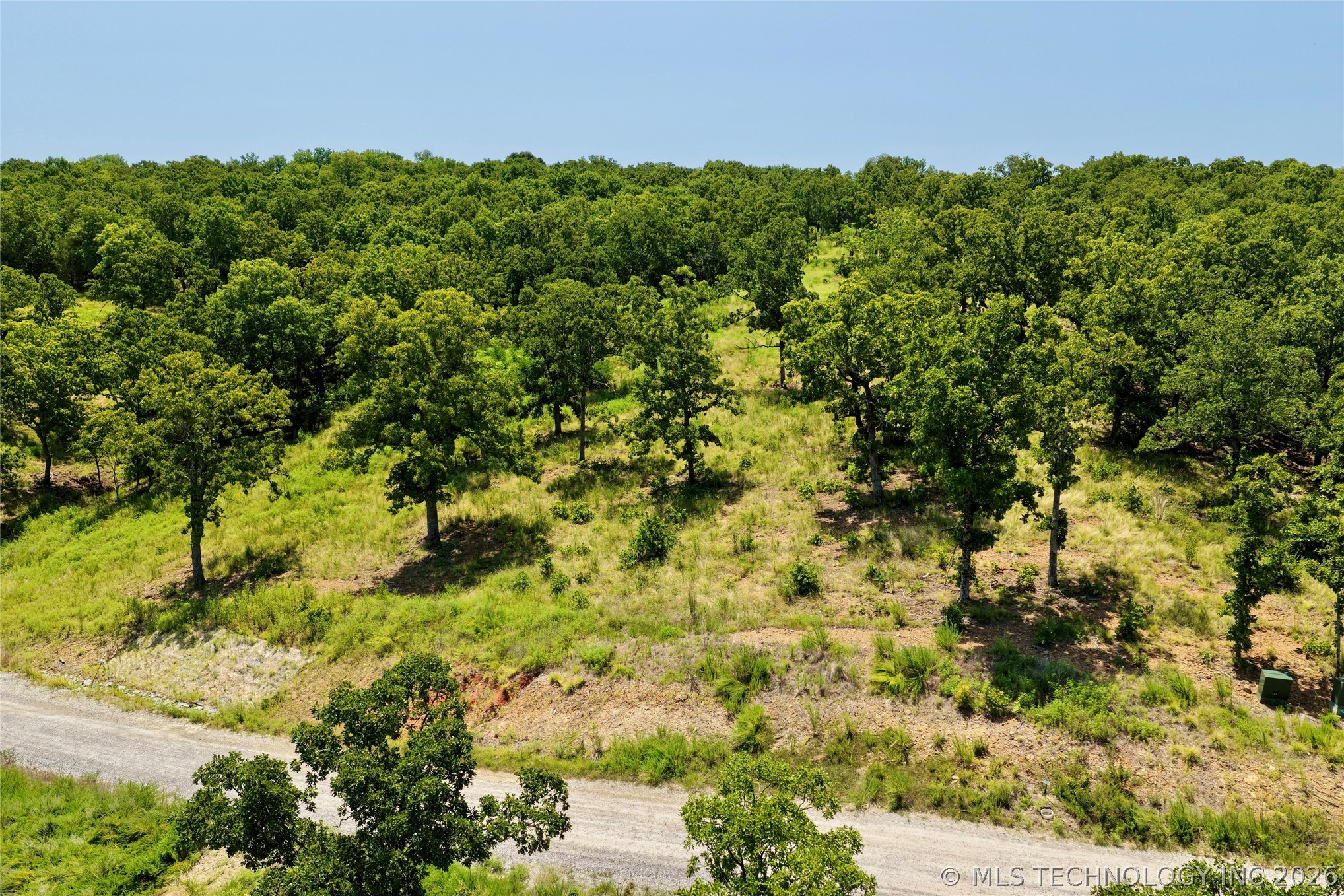 239 Patriot Pointe Property Photo 19