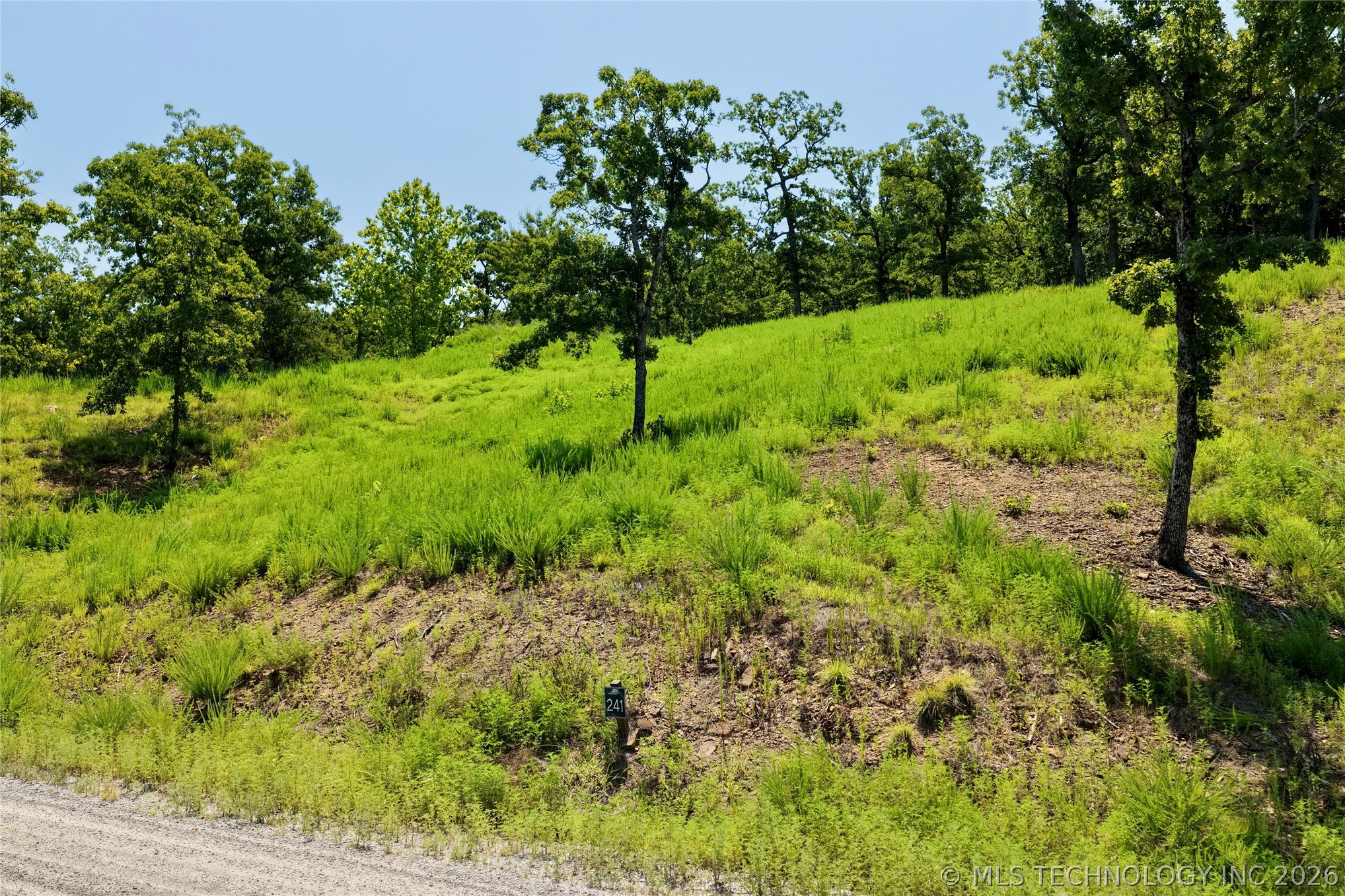 241 Patriot Pointe Property Photo 6