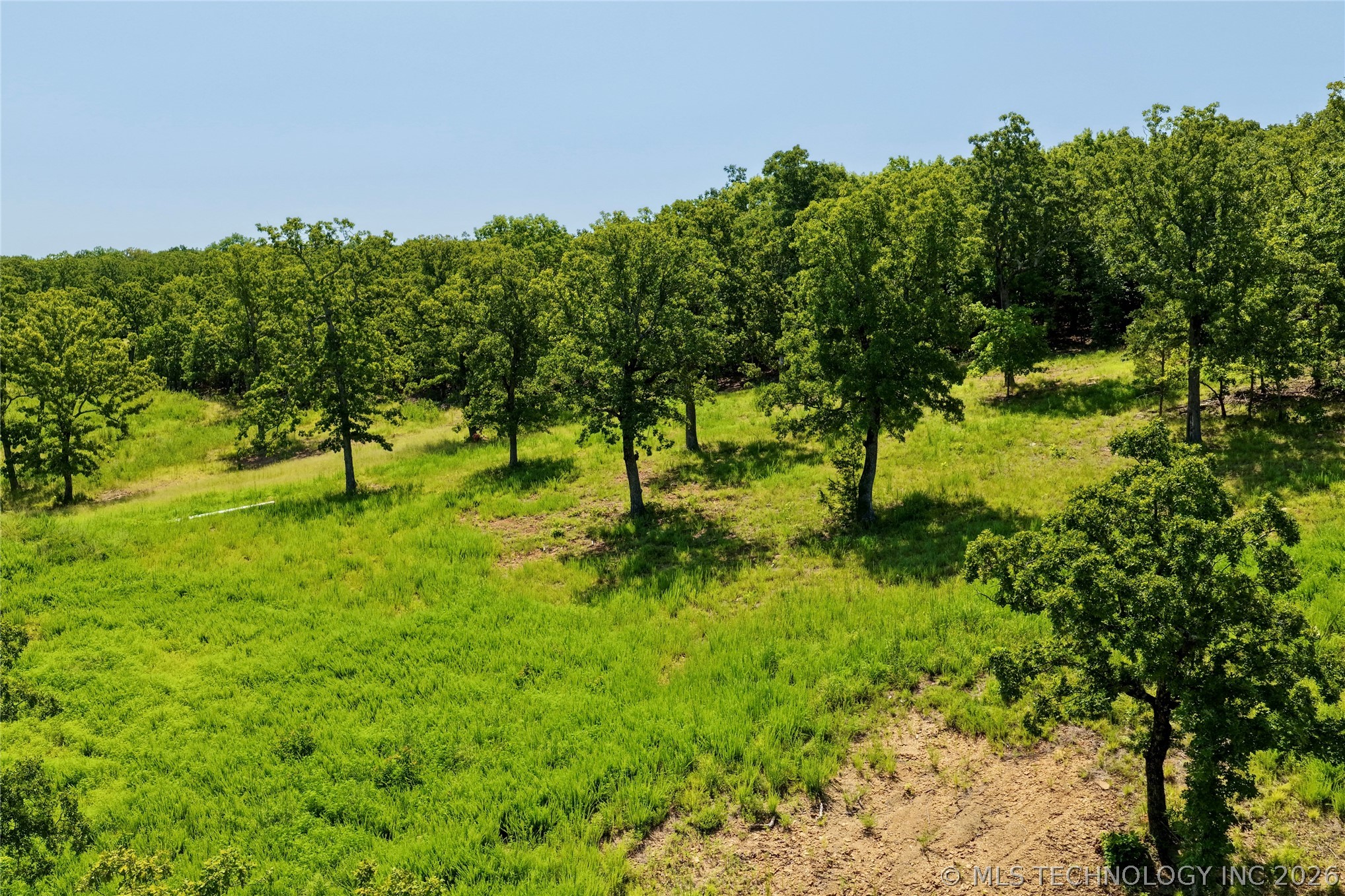 241 Patriot Pointe Property Photo 8
