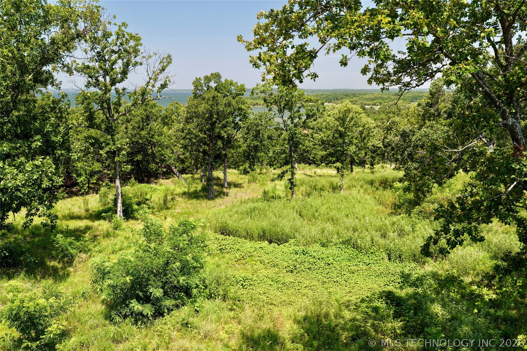 229 Patriot Pointe Property Photo 4