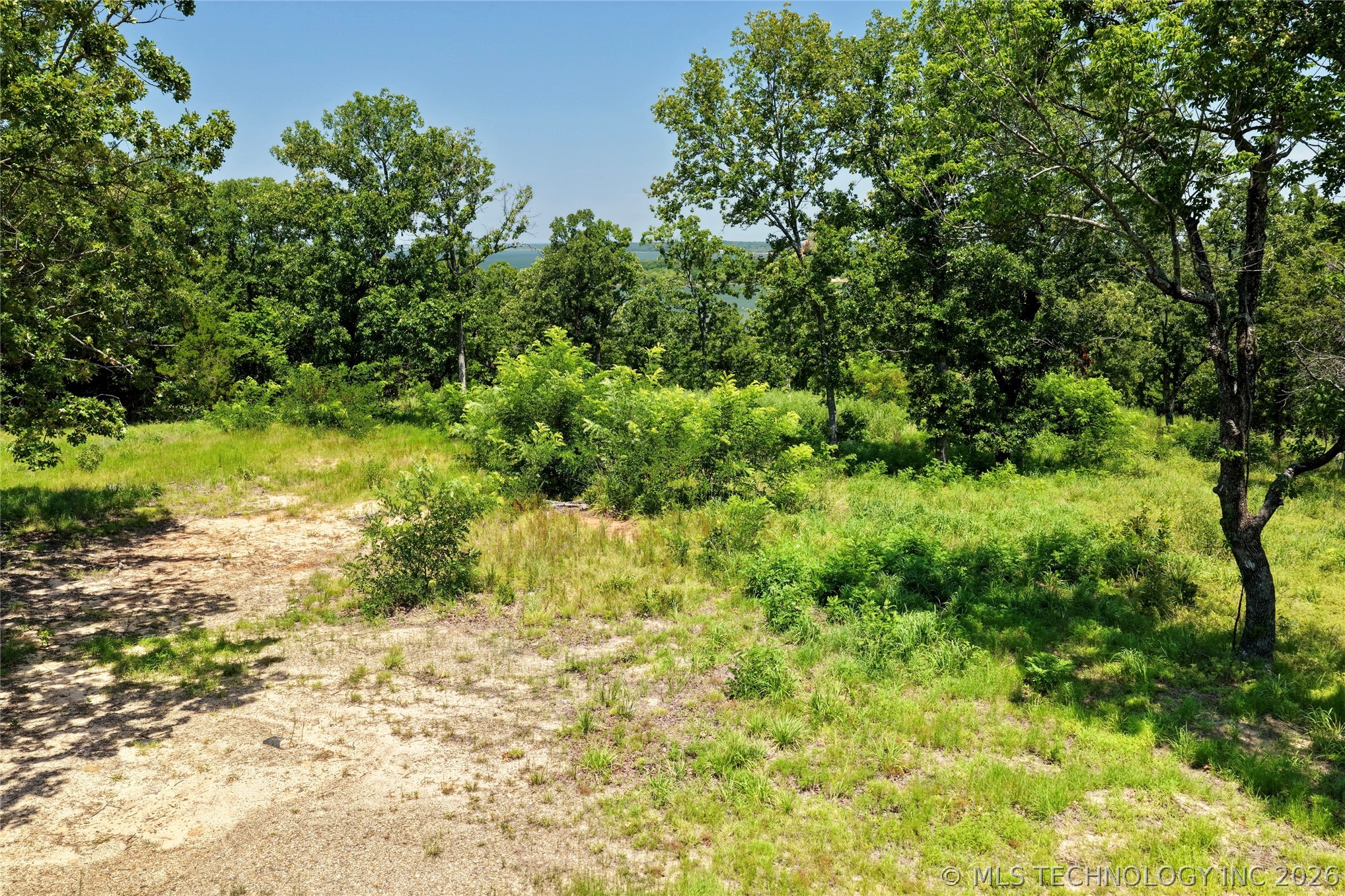 229 Patriot Pointe Property Photo 5