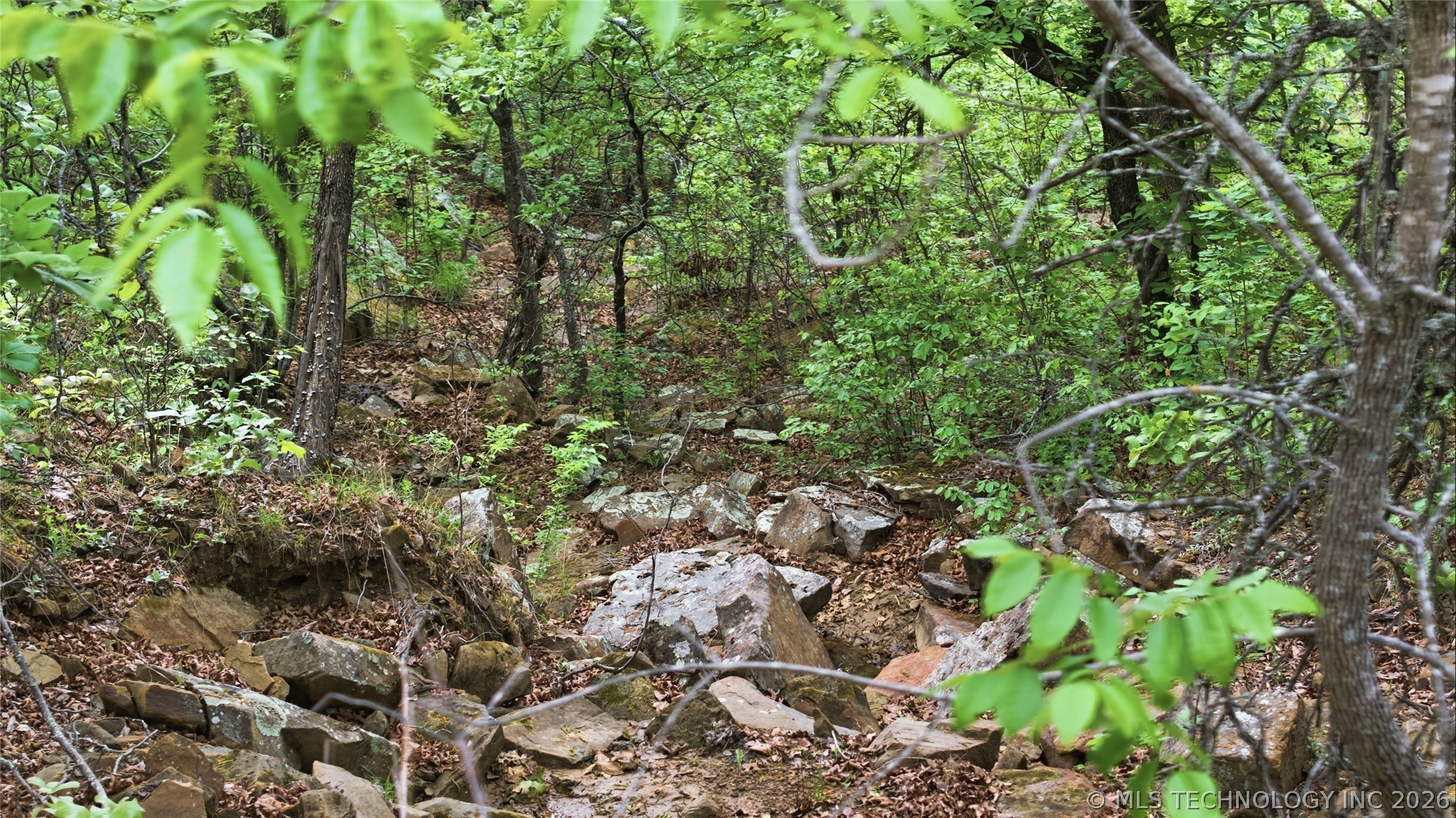 00481 W 81st Street Property Photo 5