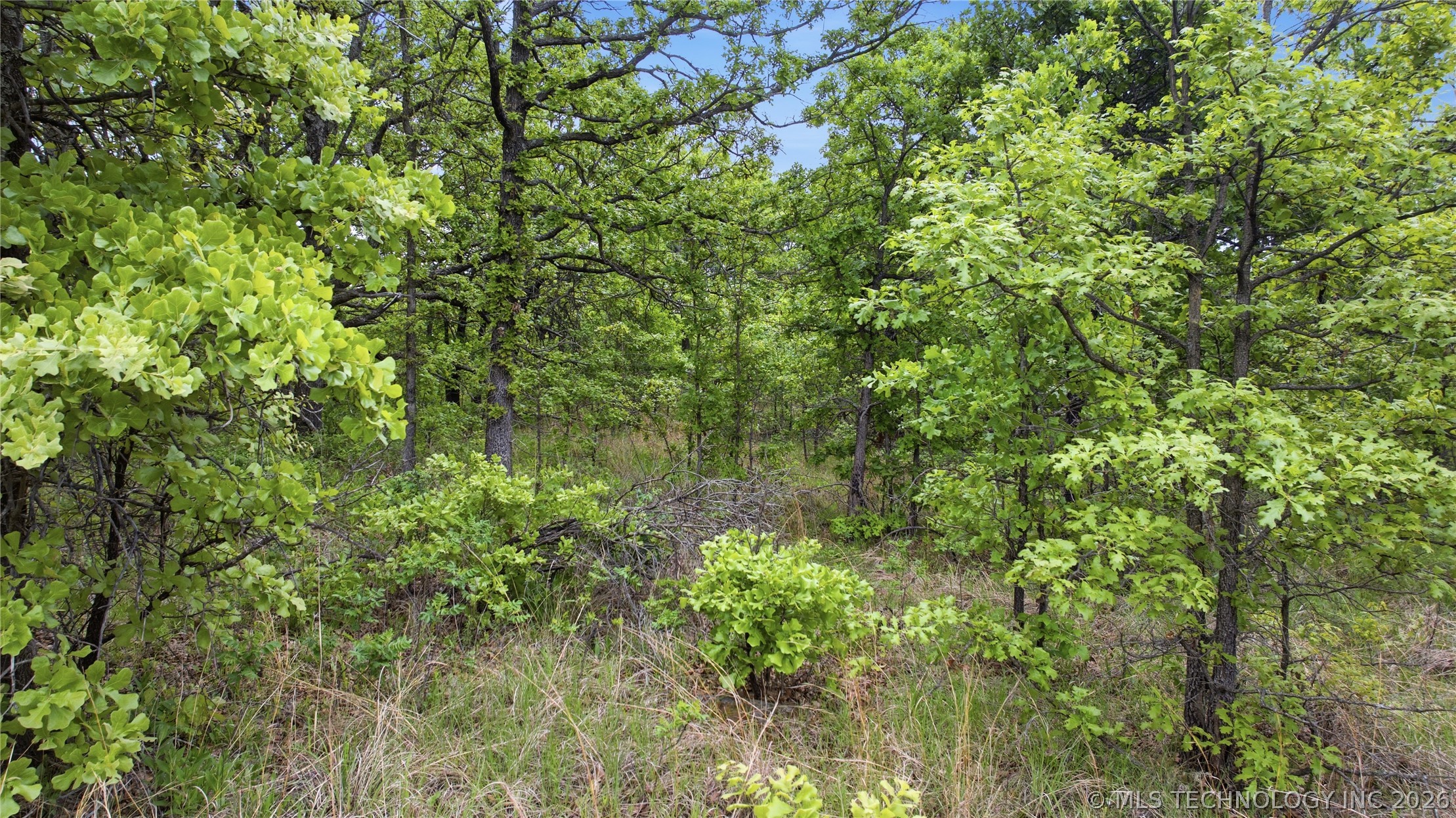 00481 W 81st Street Property Photo 36