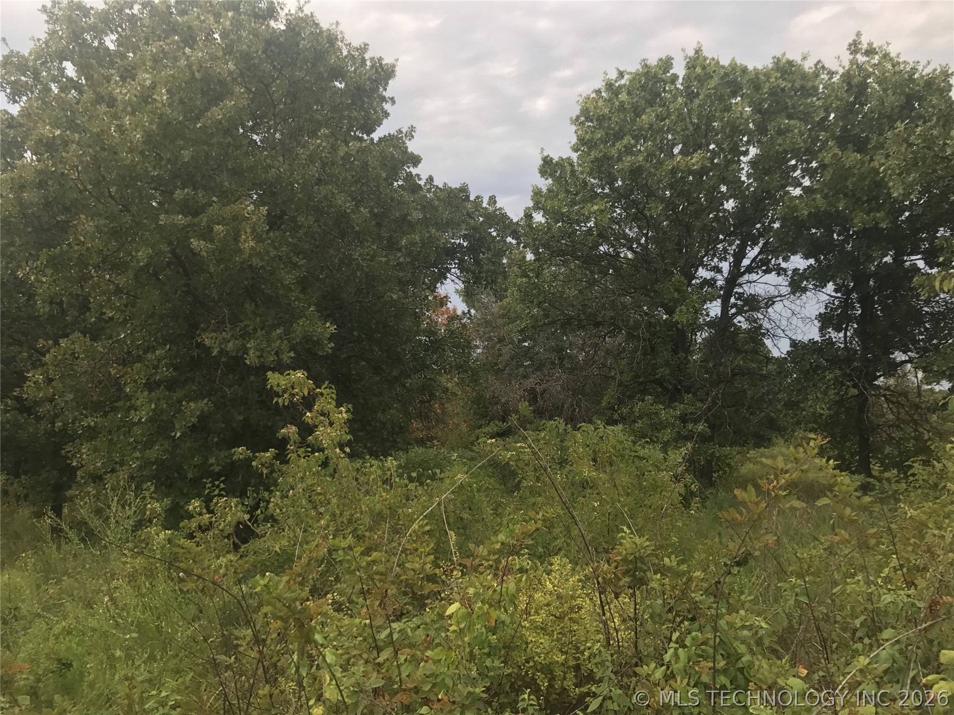 2773 Duskwood Road Property Photo 3