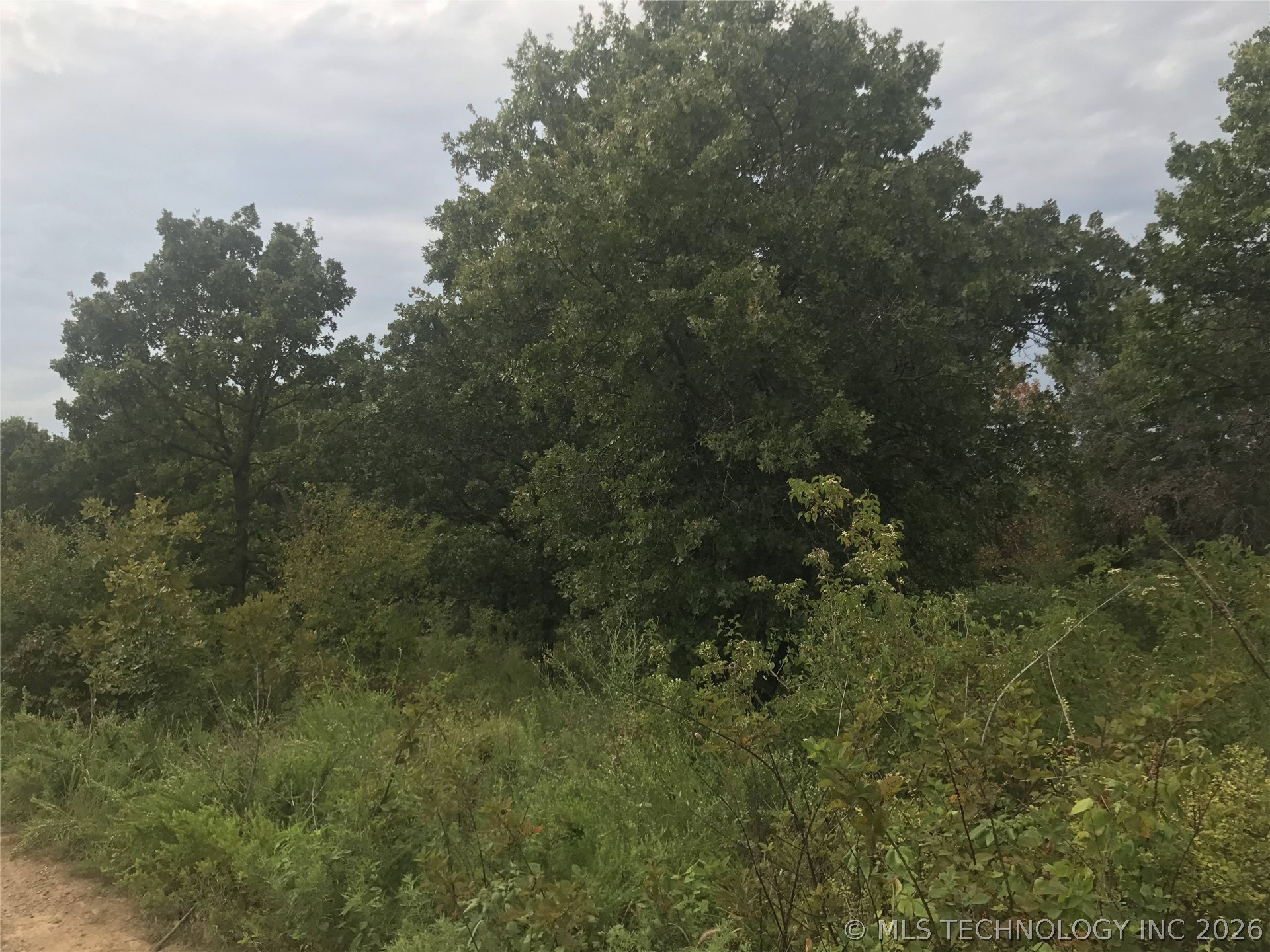 2773 Duskwood Road Property Photo 4