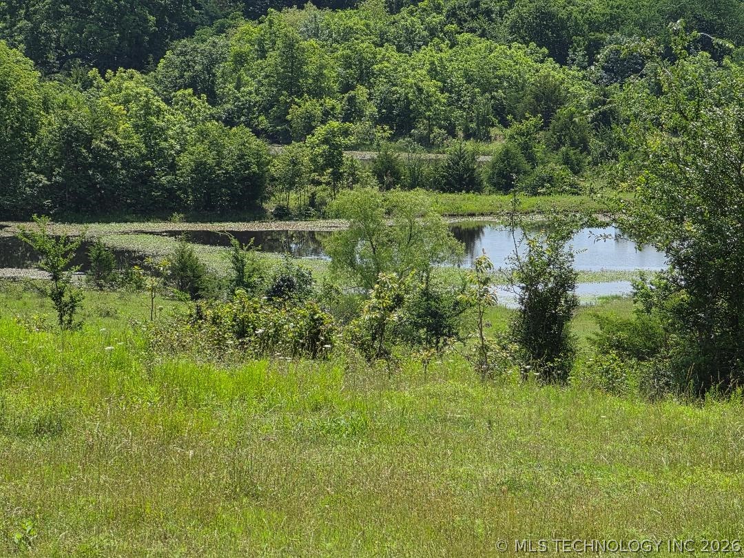 386003 Old Highway 62 Property Photo 17