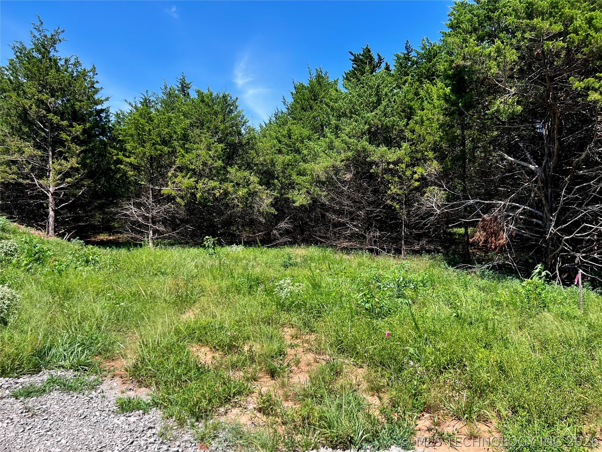 7 Dynamite Road Property Photo 8