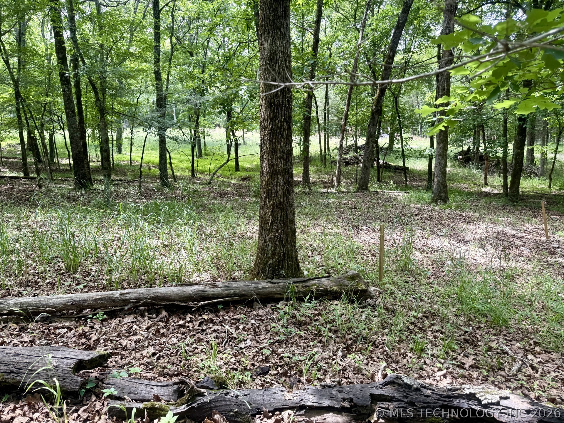 337 Bailey Boulevard Property Photo 2