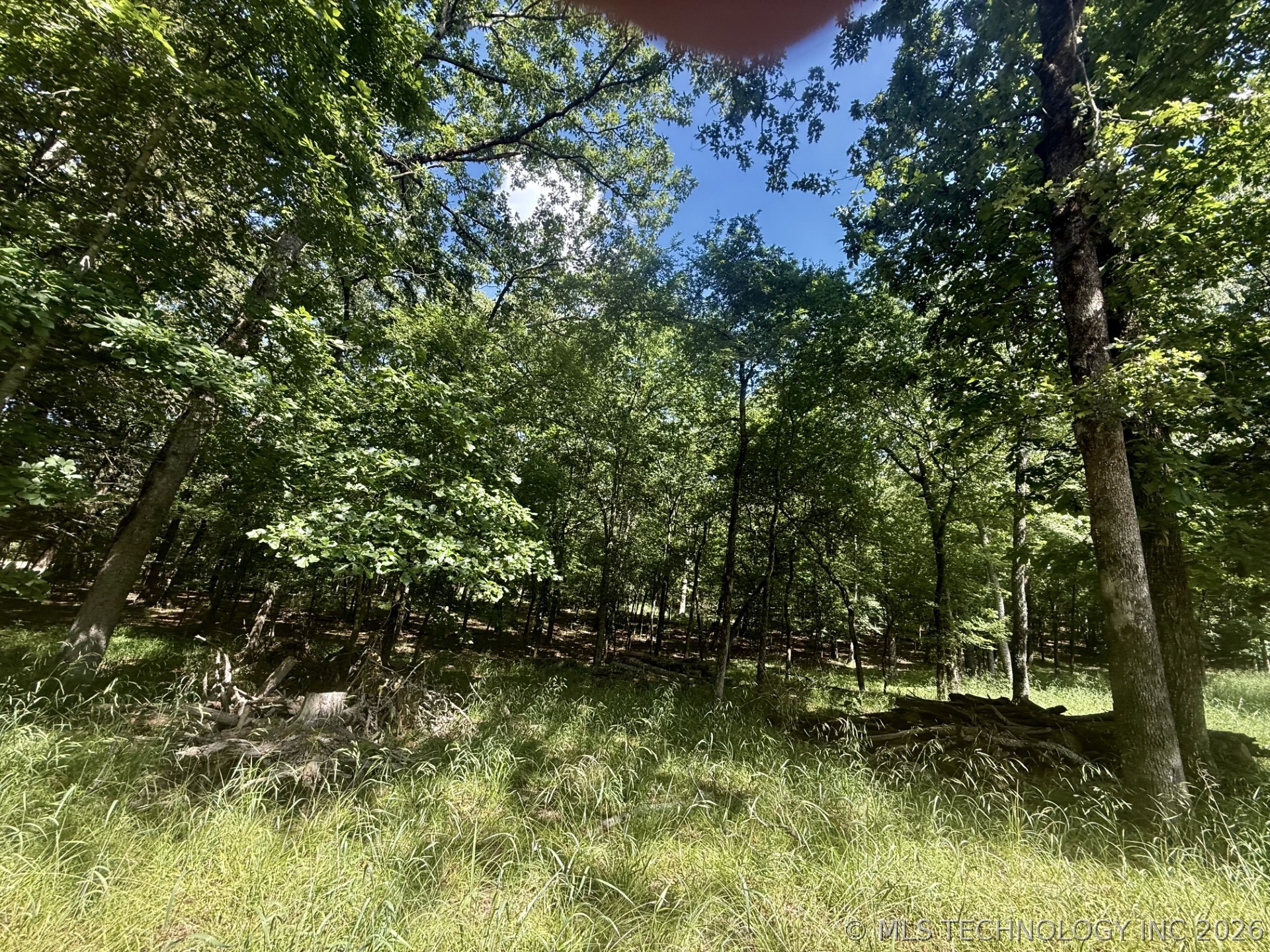 337 Bailey Boulevard Property Photo 3