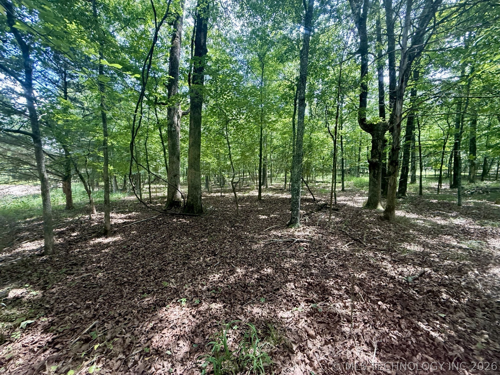337 Bailey Boulevard Property Photo 4