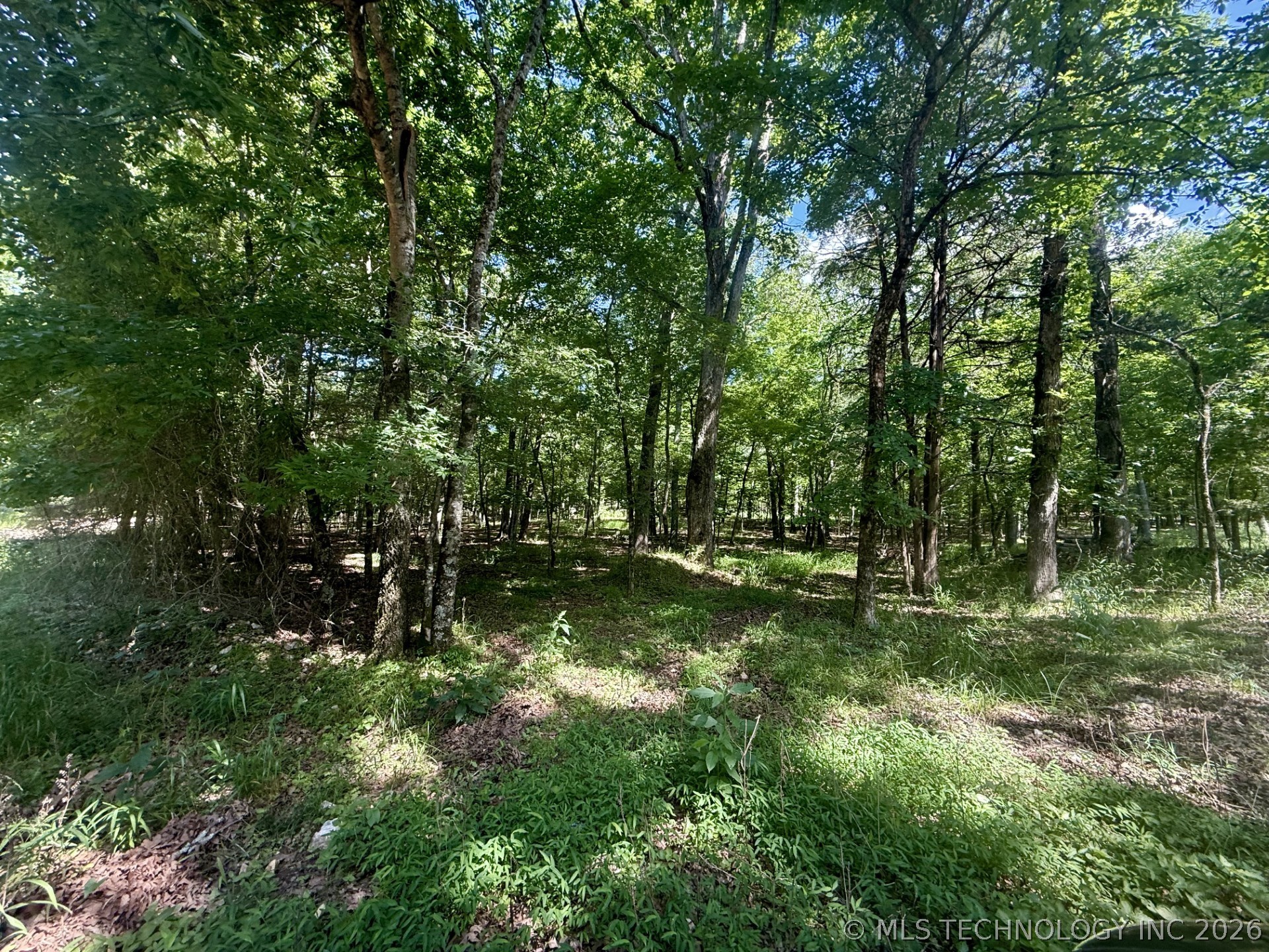 337 Bailey Boulevard Property Photo 6