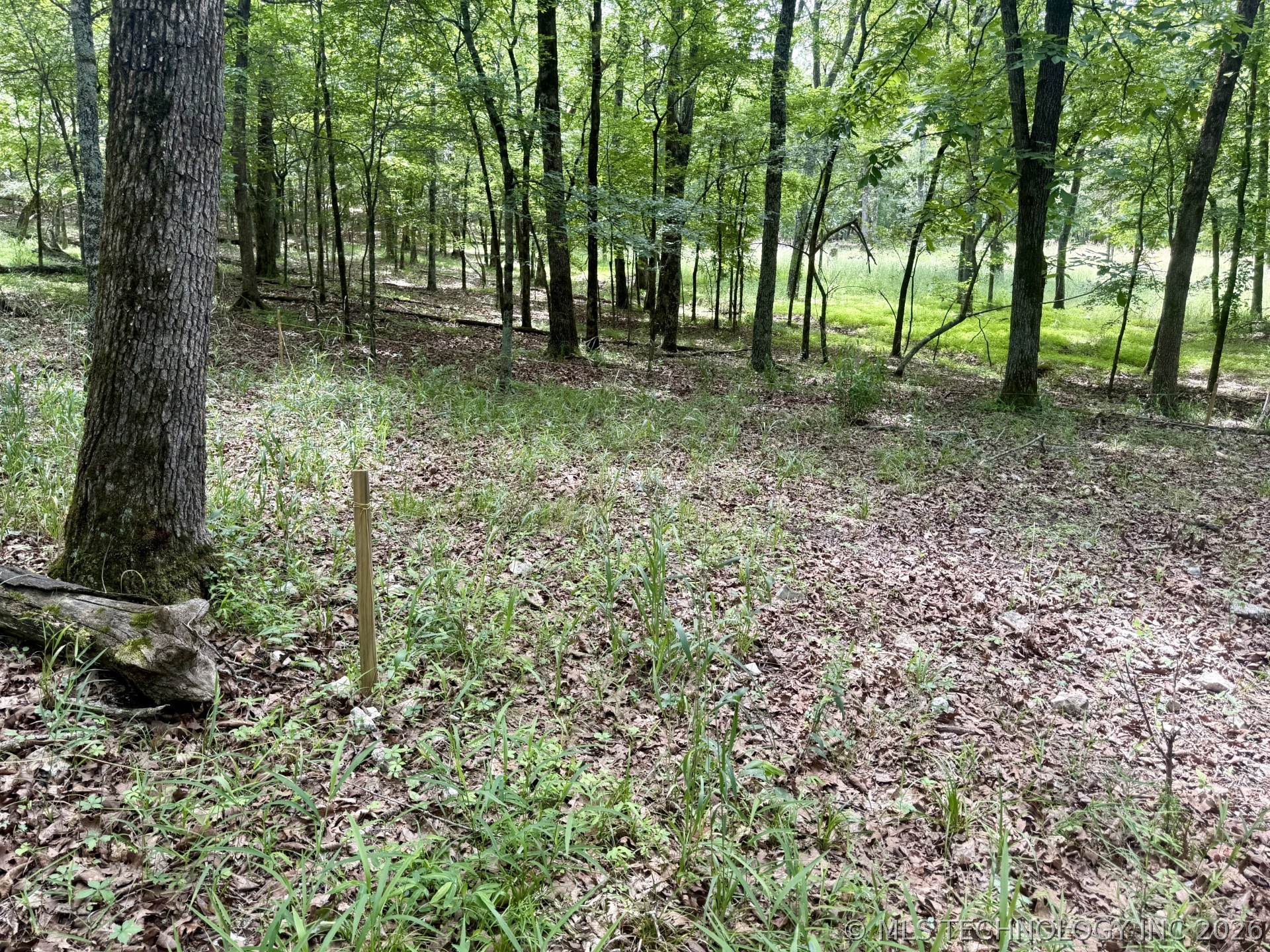 337 Bailey Boulevard Property Photo 8
