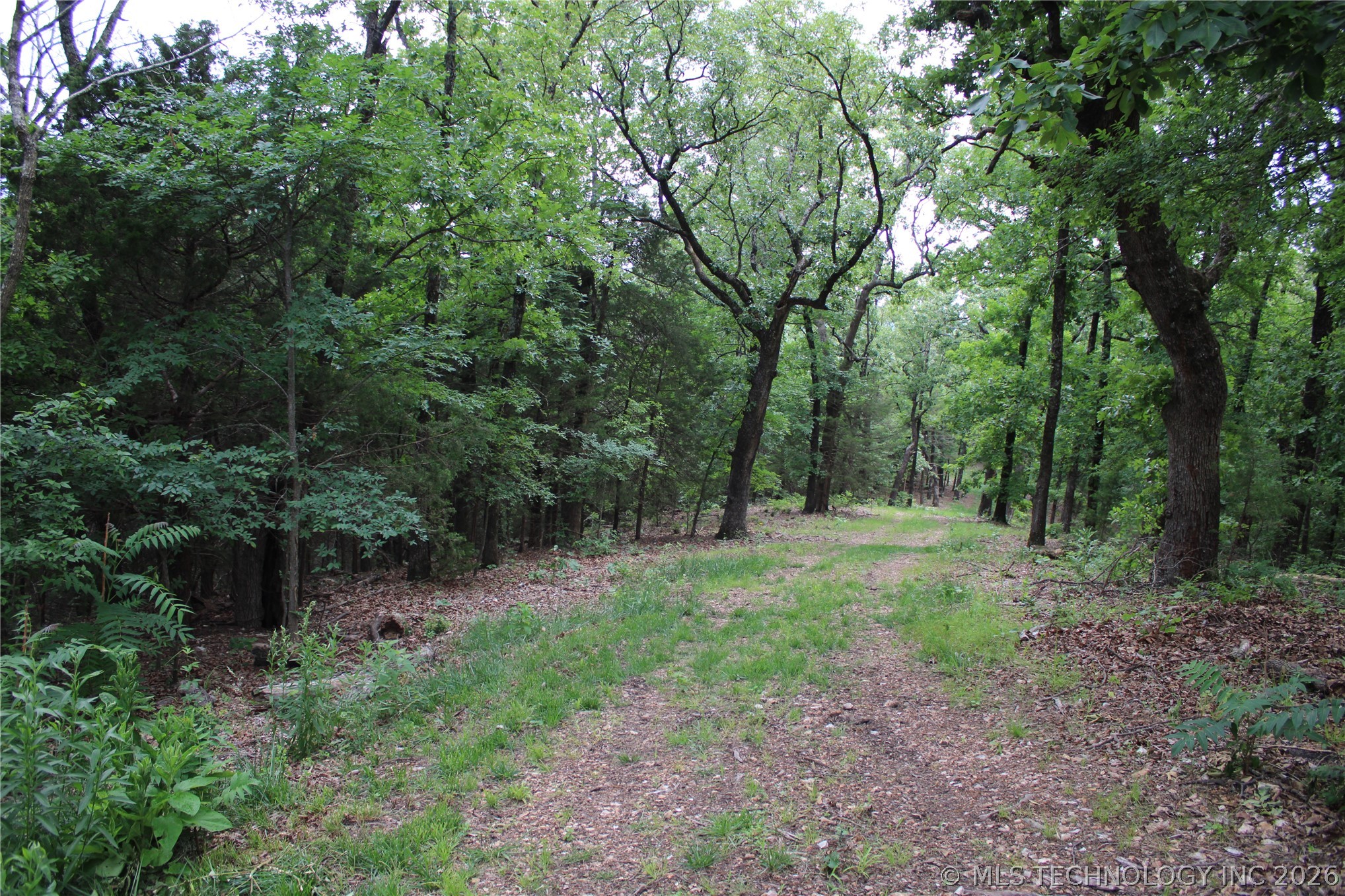 18003 S 650 Road Property Photo 25
