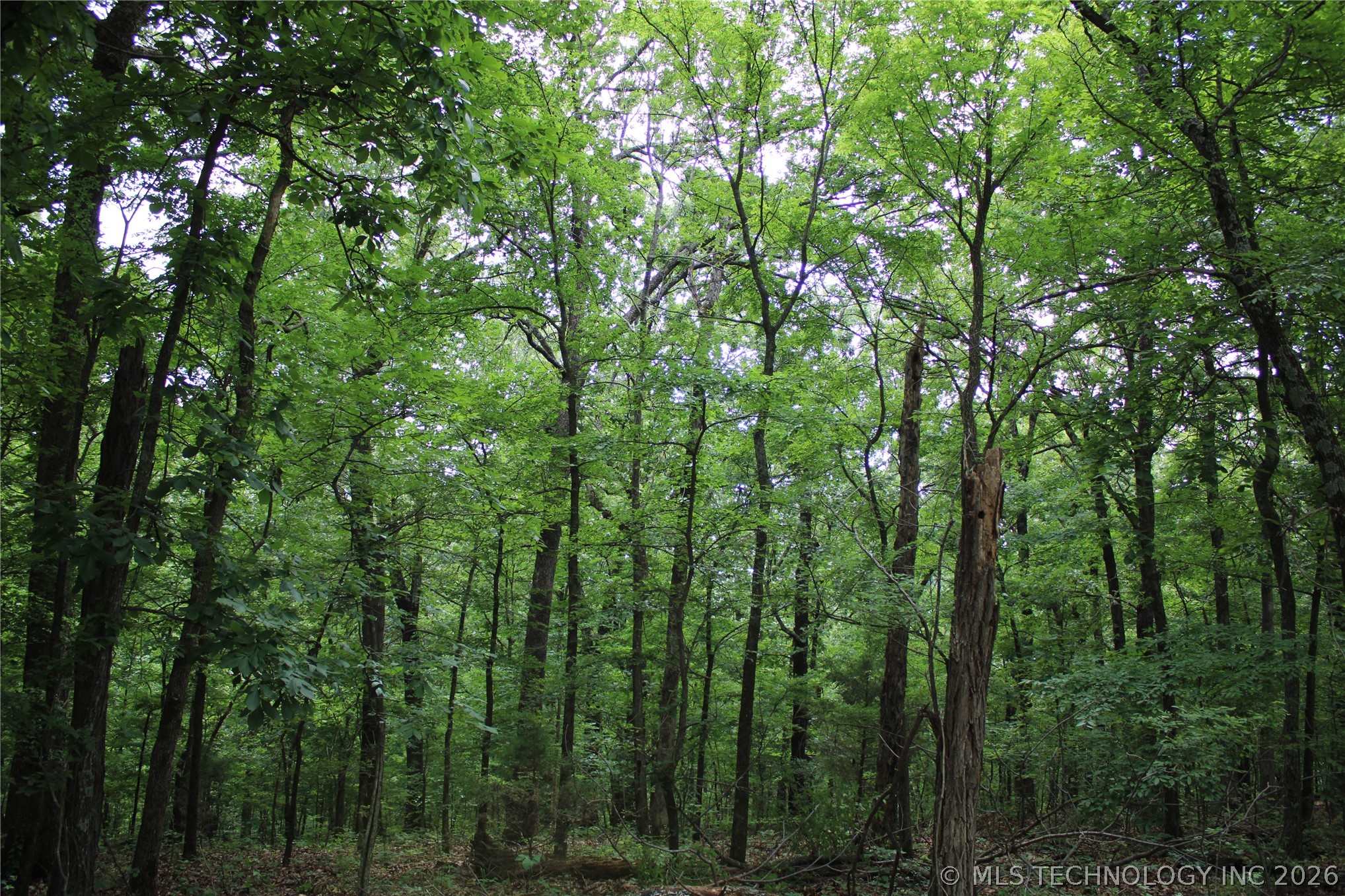 18003 S 650 Road Property Photo 27