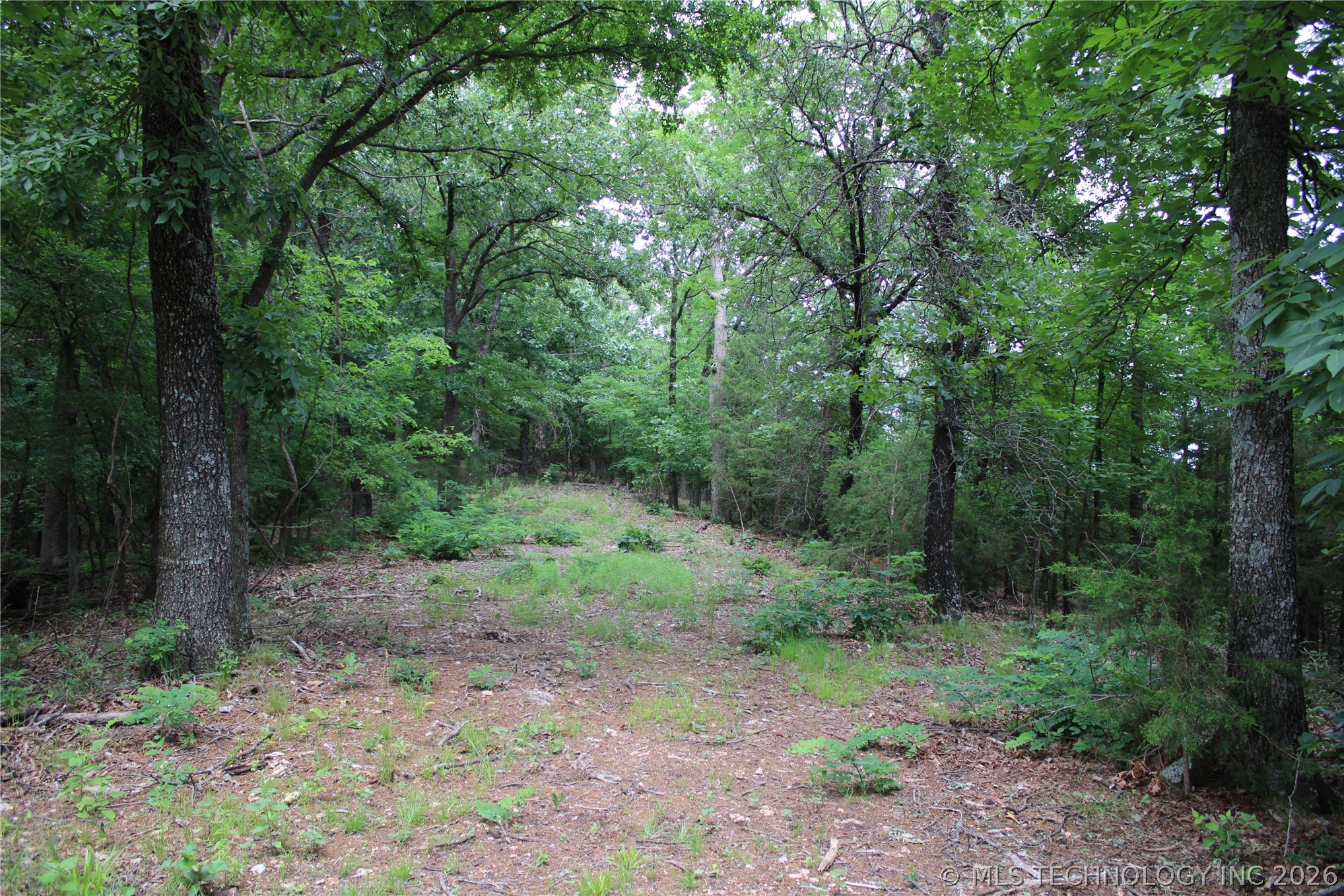 18003 S 650 Road Property Photo 31