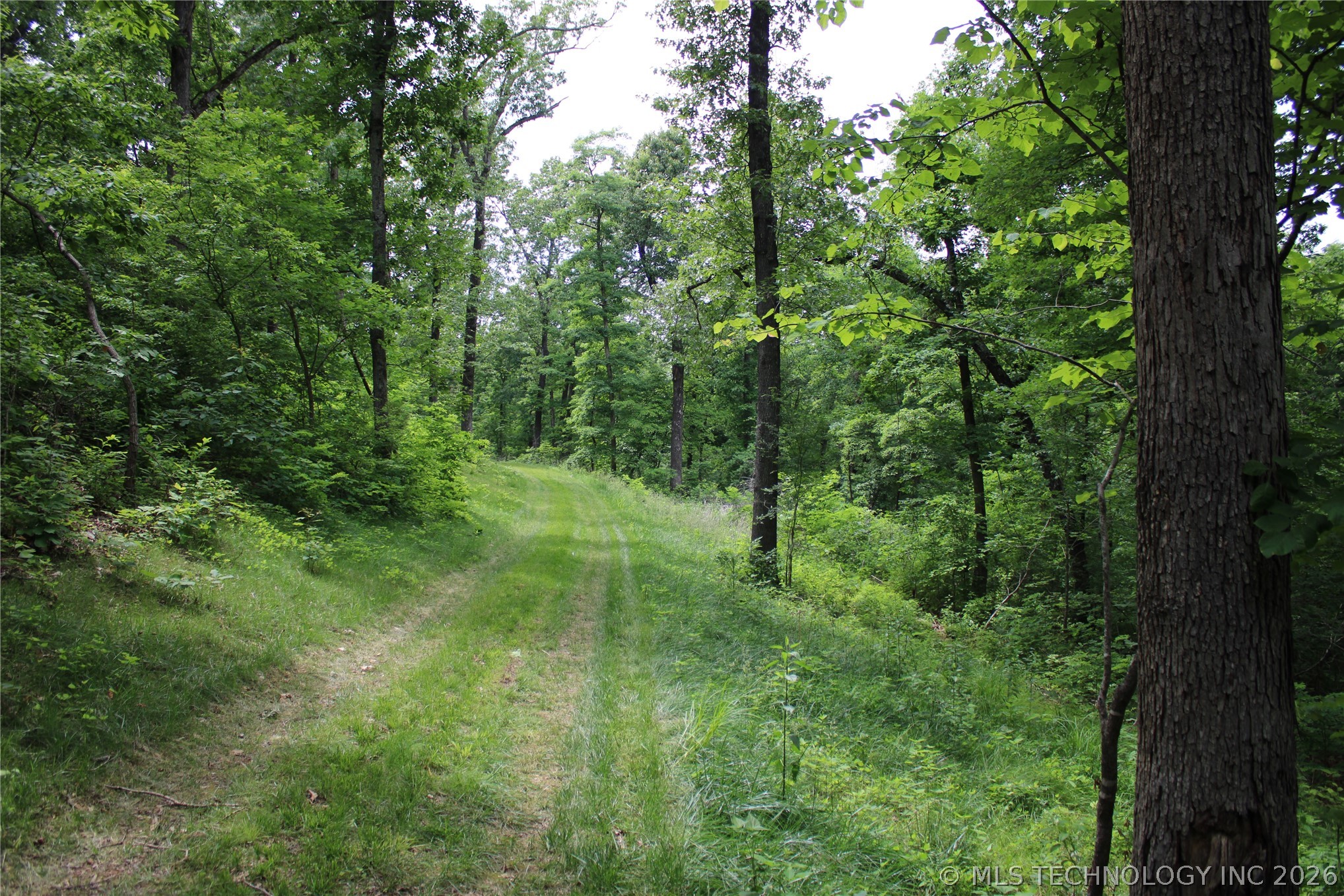 18003 S 650 Road Property Photo 33