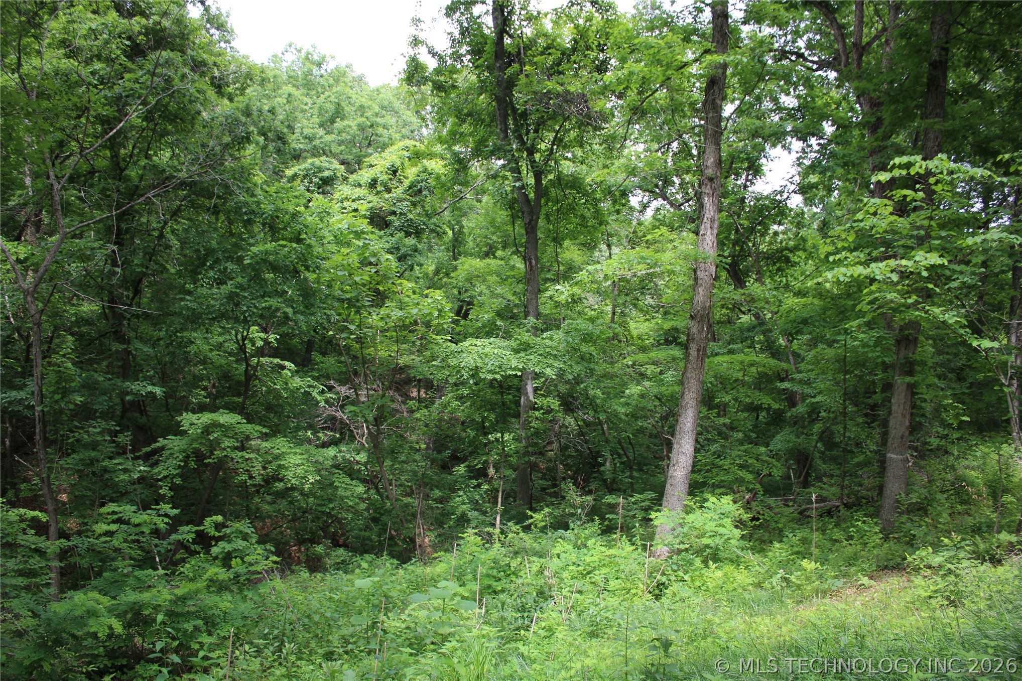 18003 S 650 Road Property Photo 34