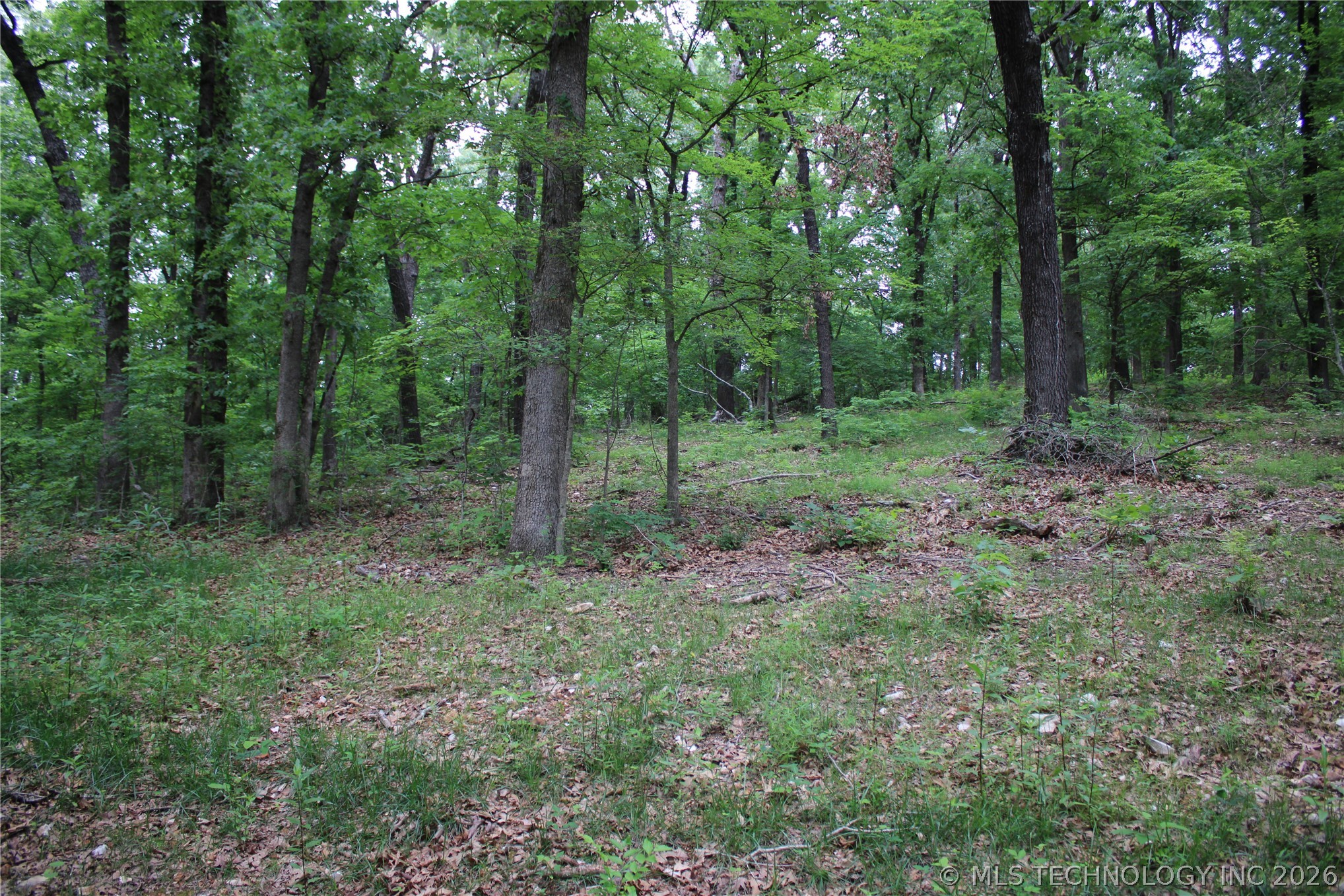 18003 S 650 Road Property Photo 38