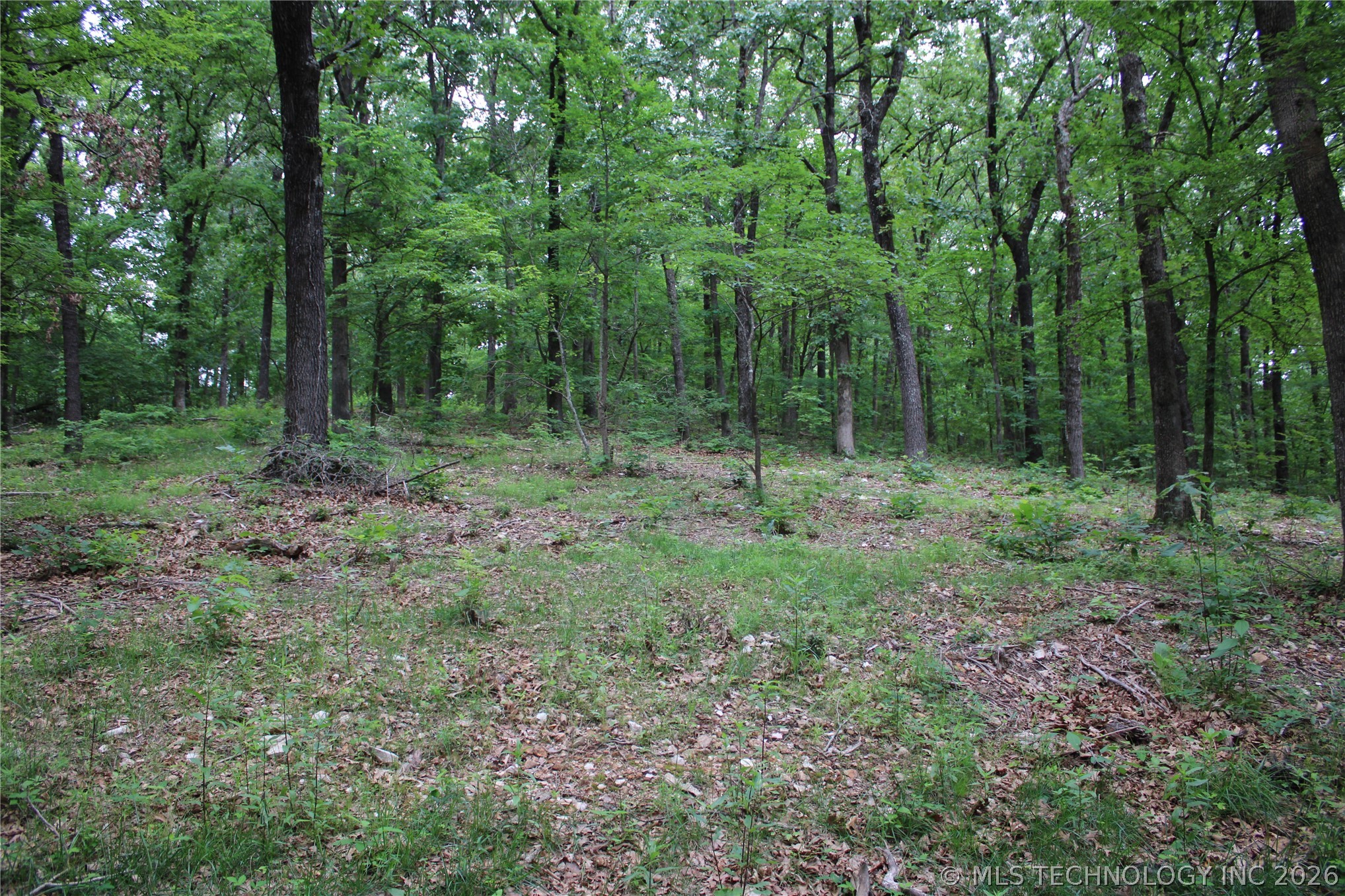 18003 S 650 Road Property Photo 39