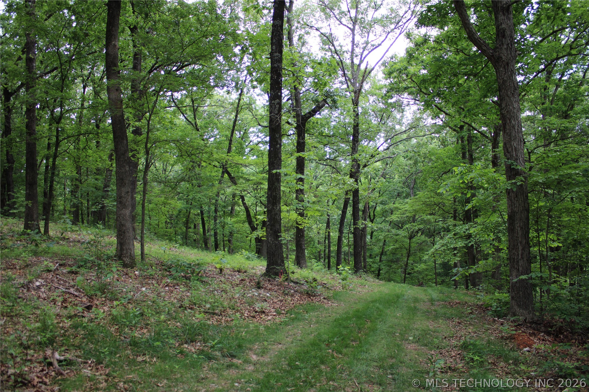 18003 S 650 Road Property Photo 40