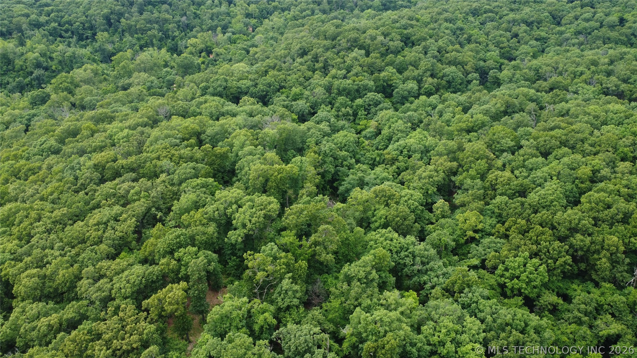 18003 S 650 Road Property Photo 46