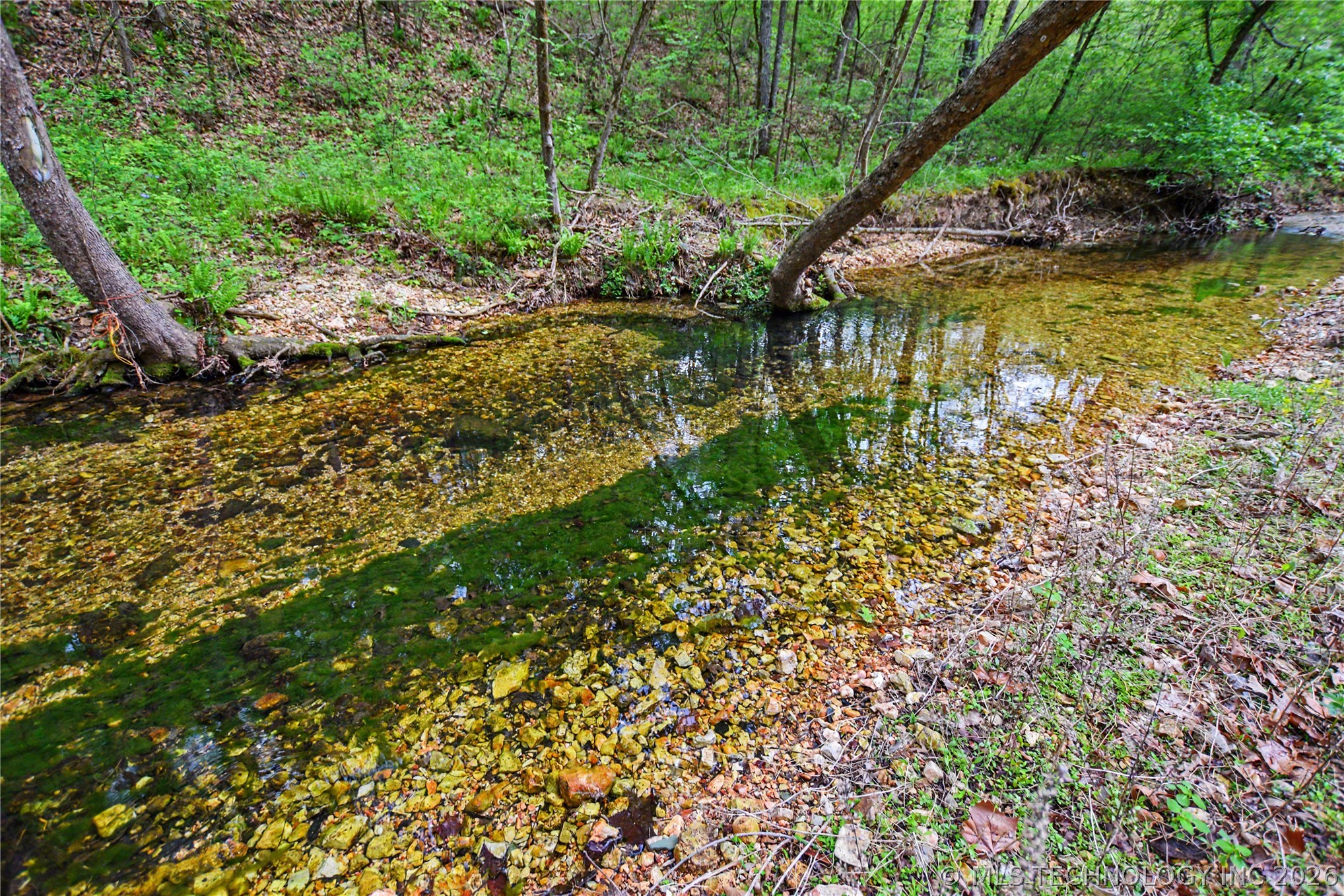 21001 E Steely Hollow Road Property Photo 4