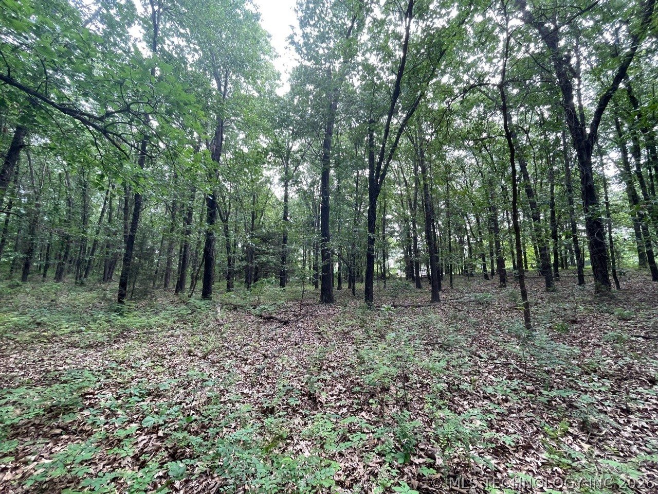 Lakeview Drive Property Photo 14