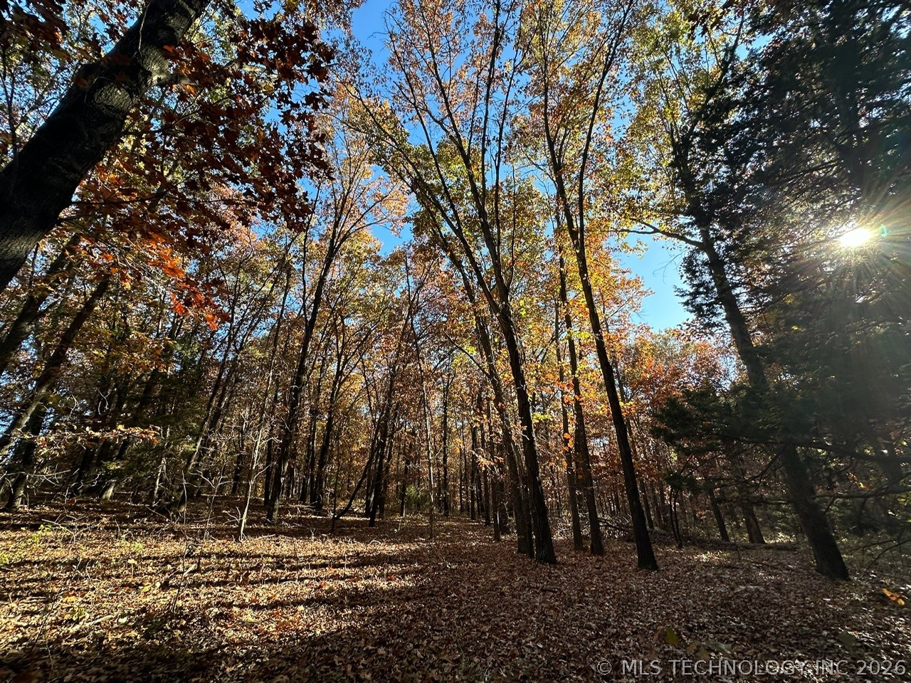 Lakeview Drive Property Photo 15