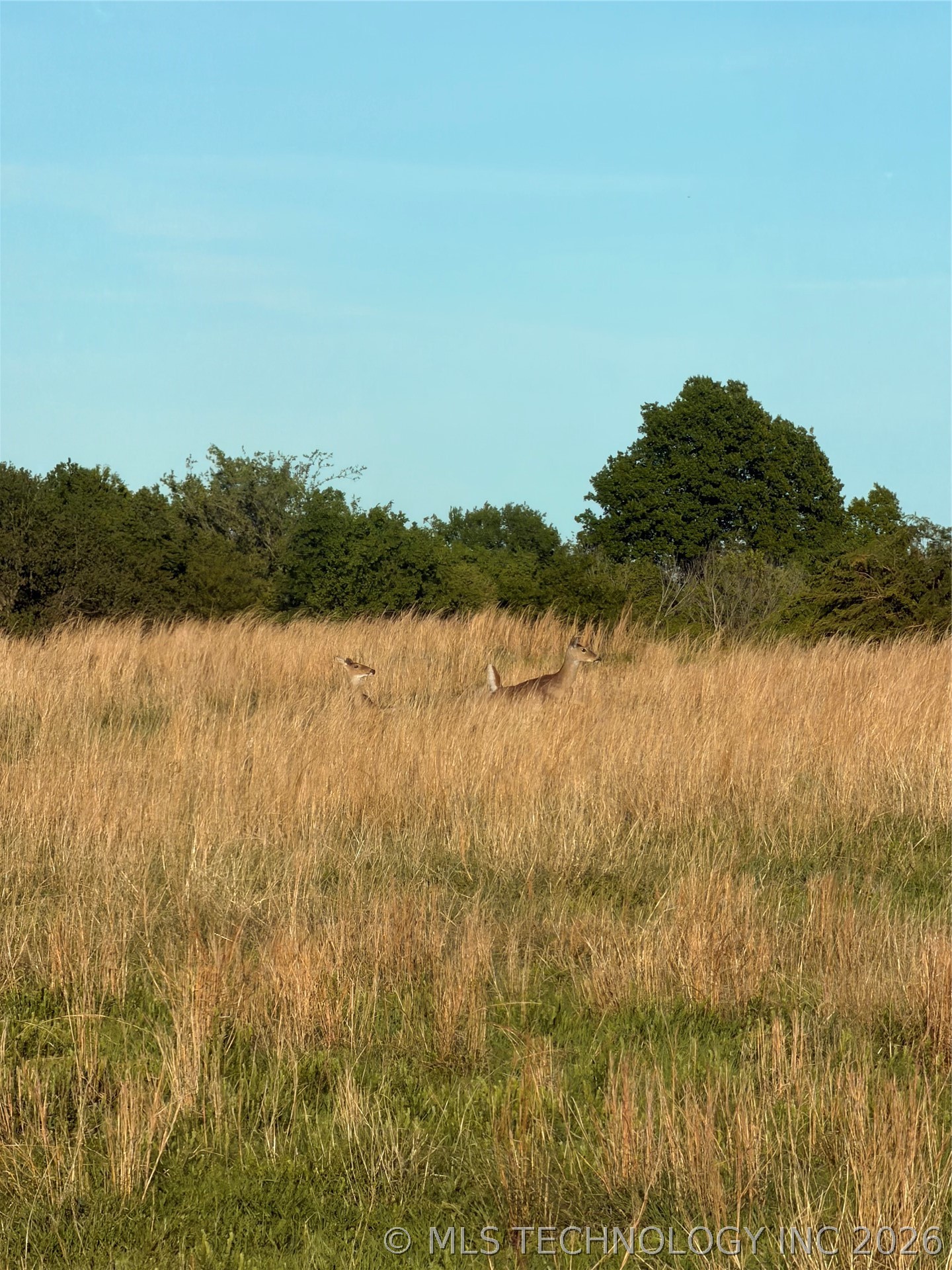 14570 Box Road Property Photo 42