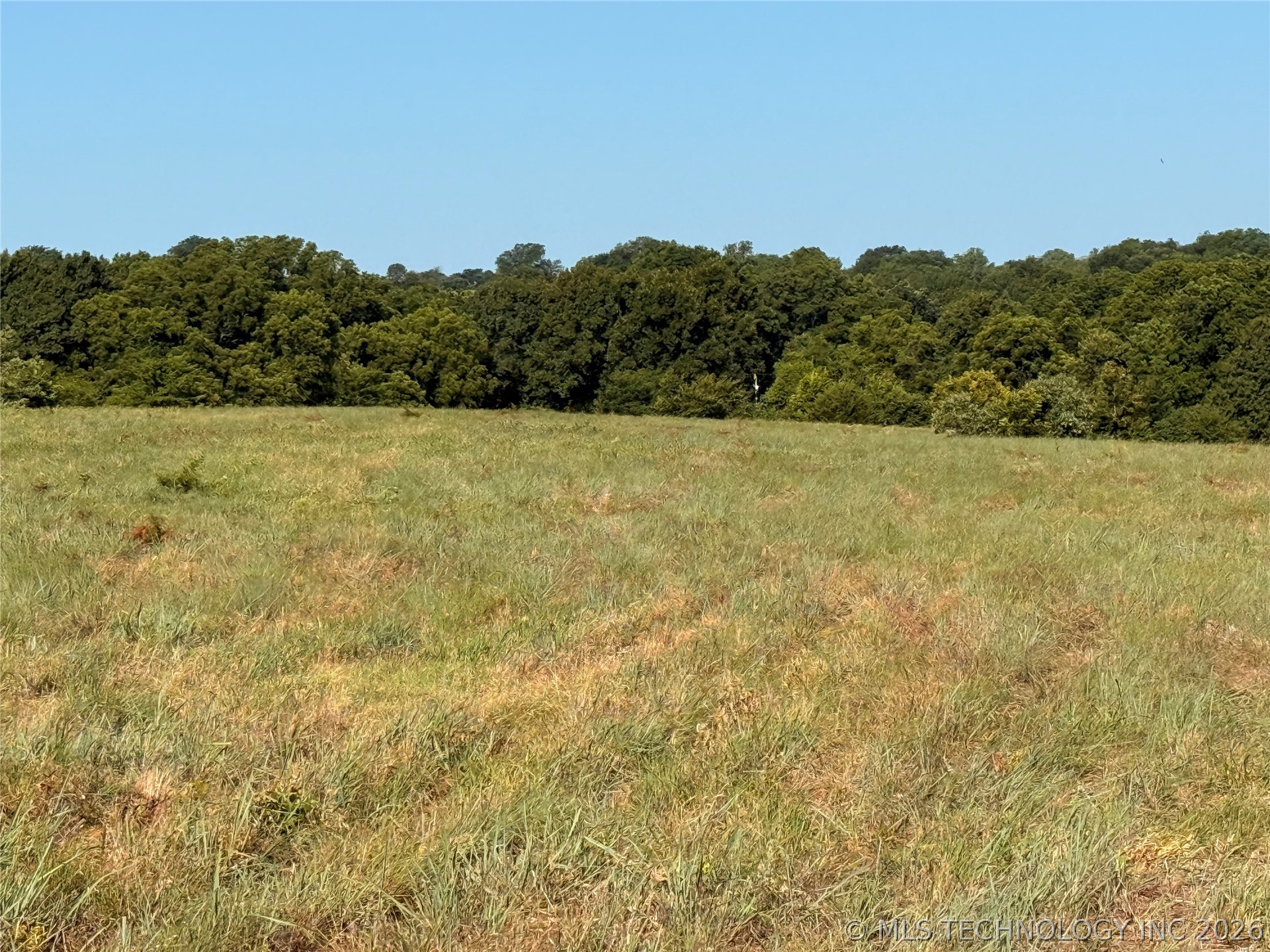 14570 Box Road Property Photo 43