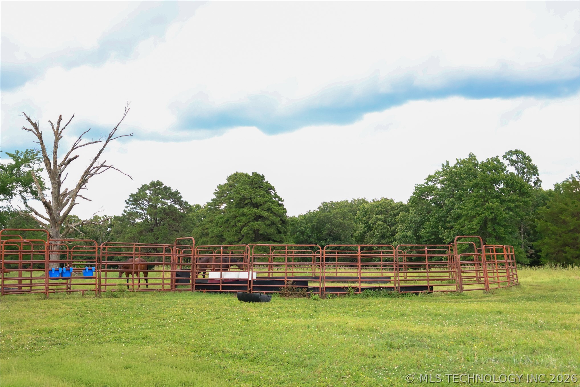 2619538 Property Photo 12
