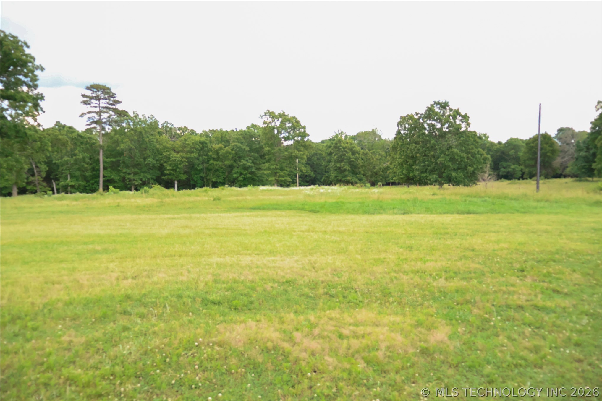 2619538 Property Photo 19