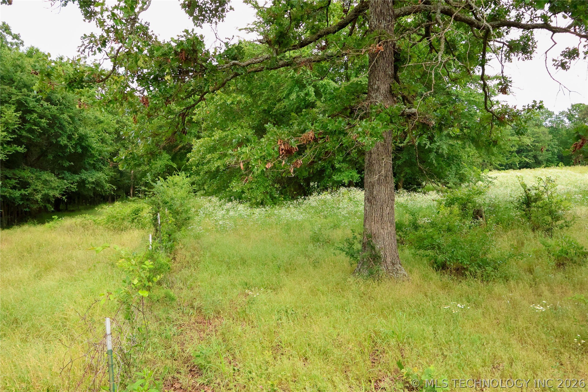 2619538 Property Photo 25