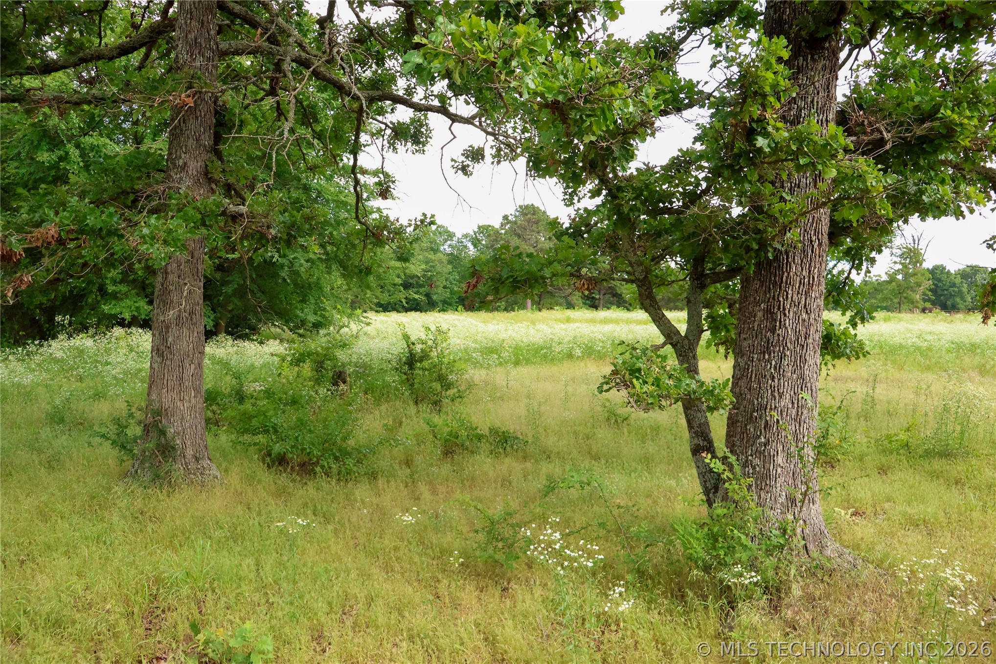 2619538 Property Photo 26