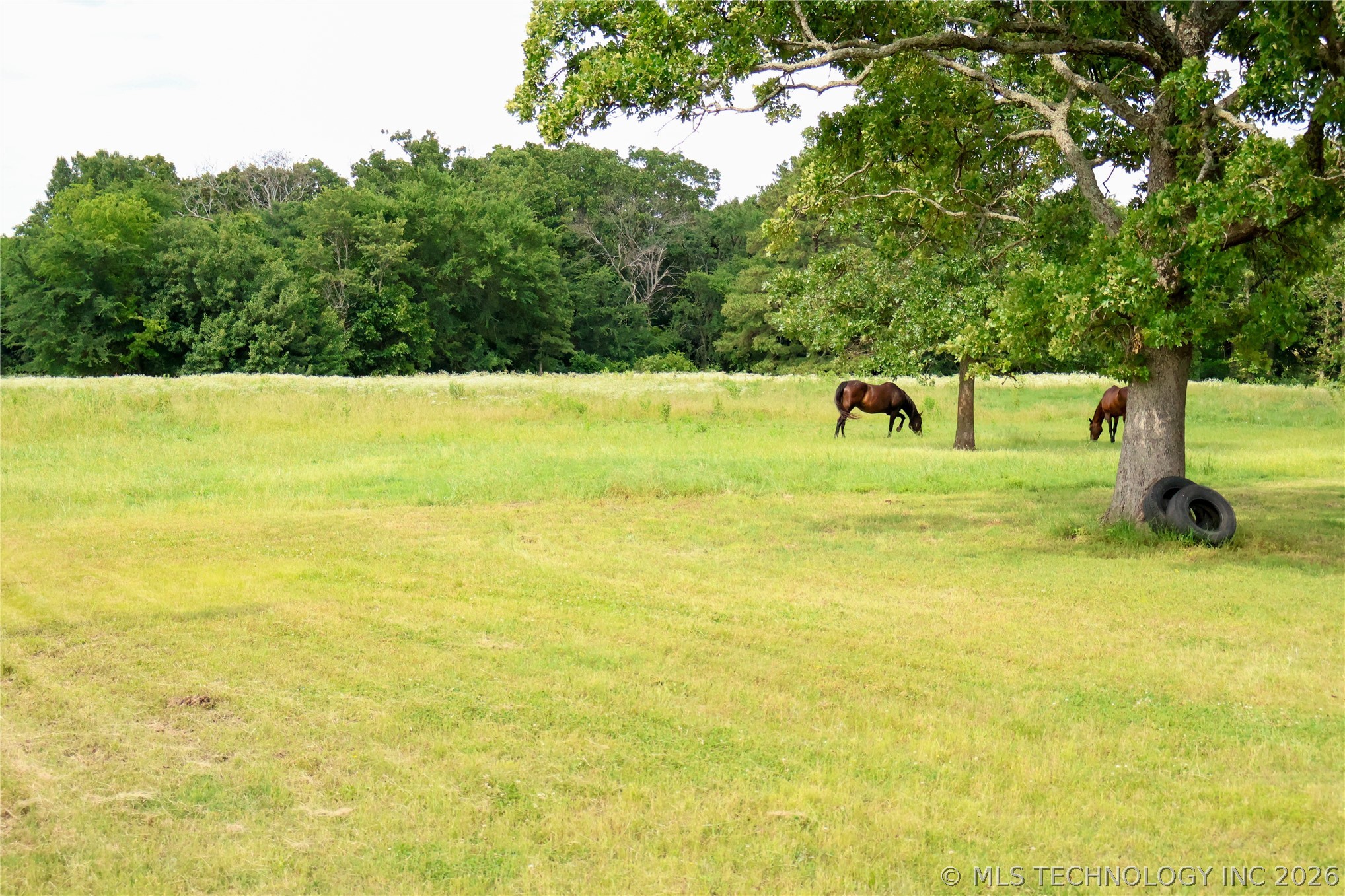 2619538 Property Photo 28