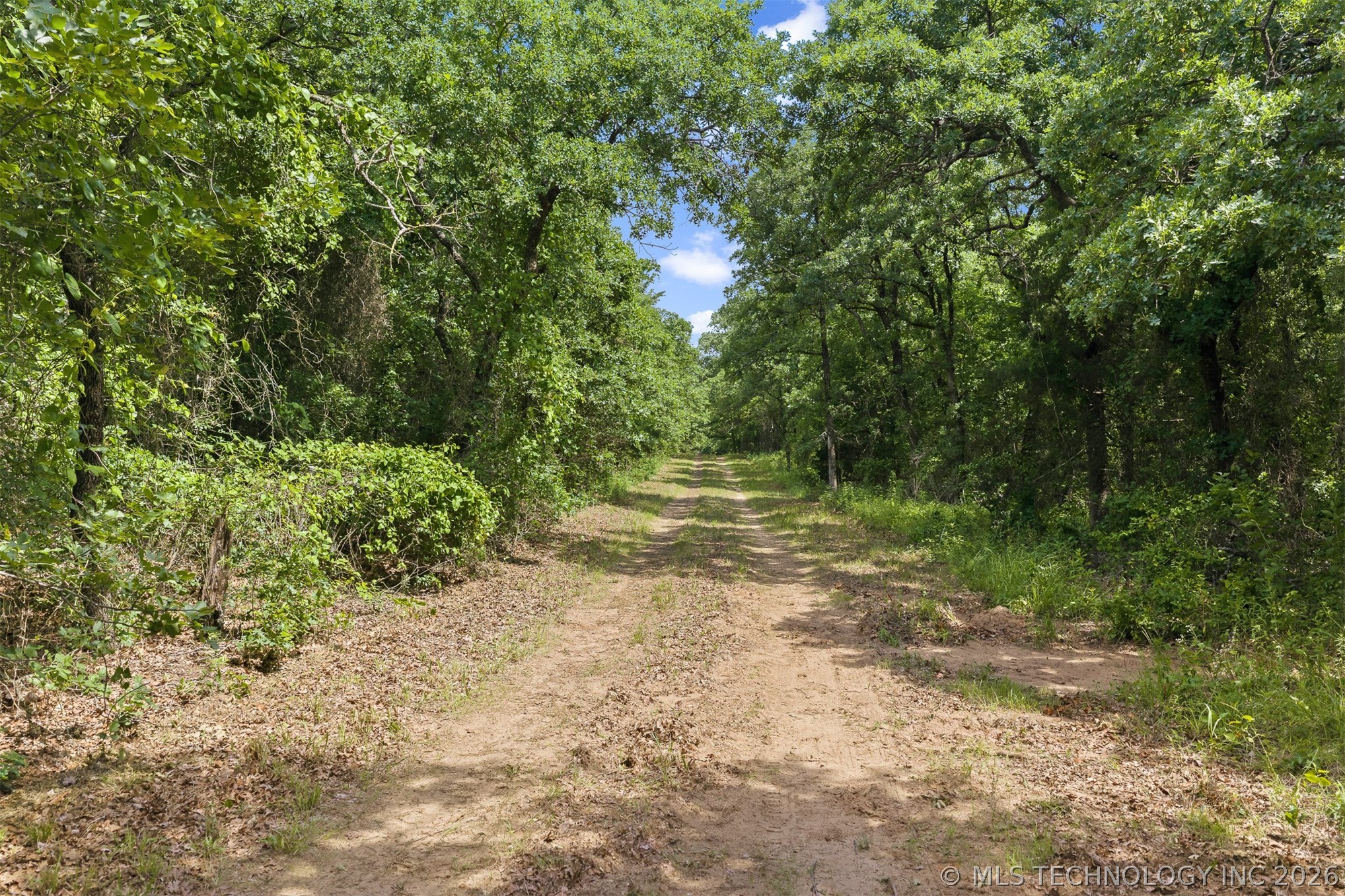 Zircon Property Photo 9