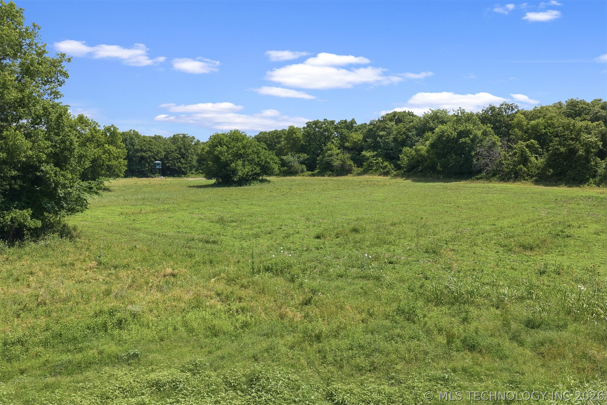 Zircon Property Photo 13