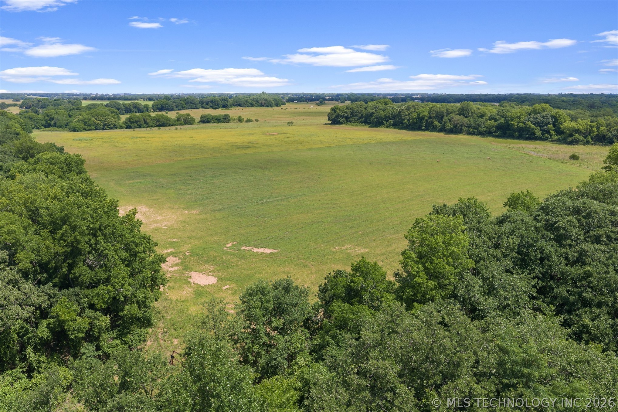 Zircon Property Photo 16