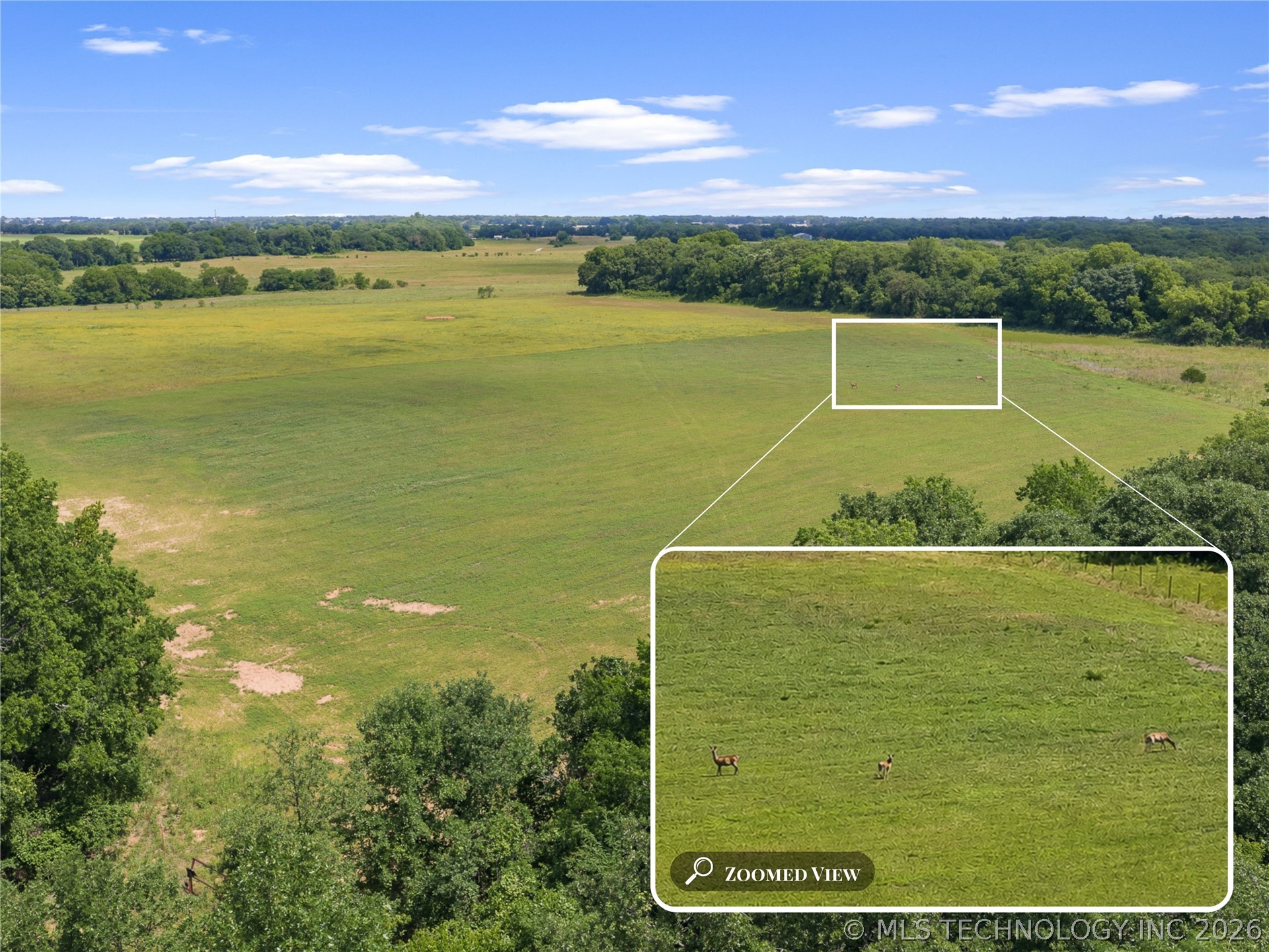 Zircon Property Photo 17