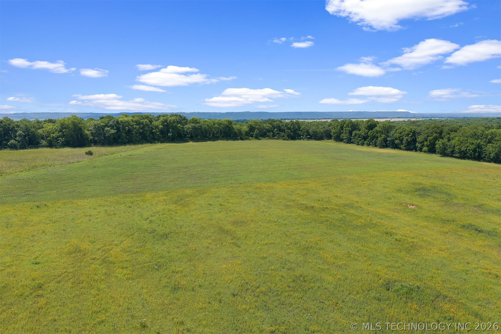 Zircon Property Photo 19