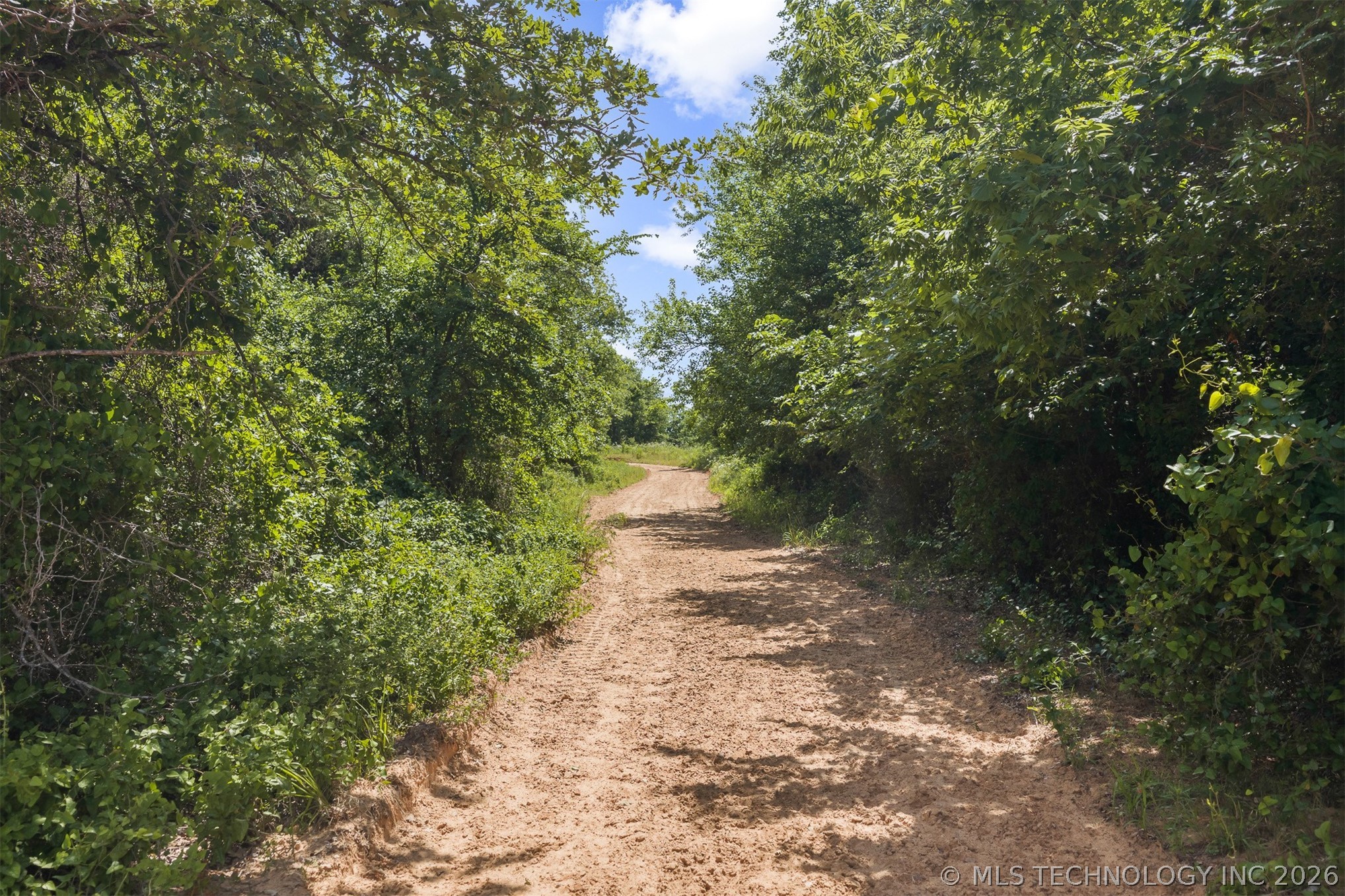 Zircon Property Photo 20