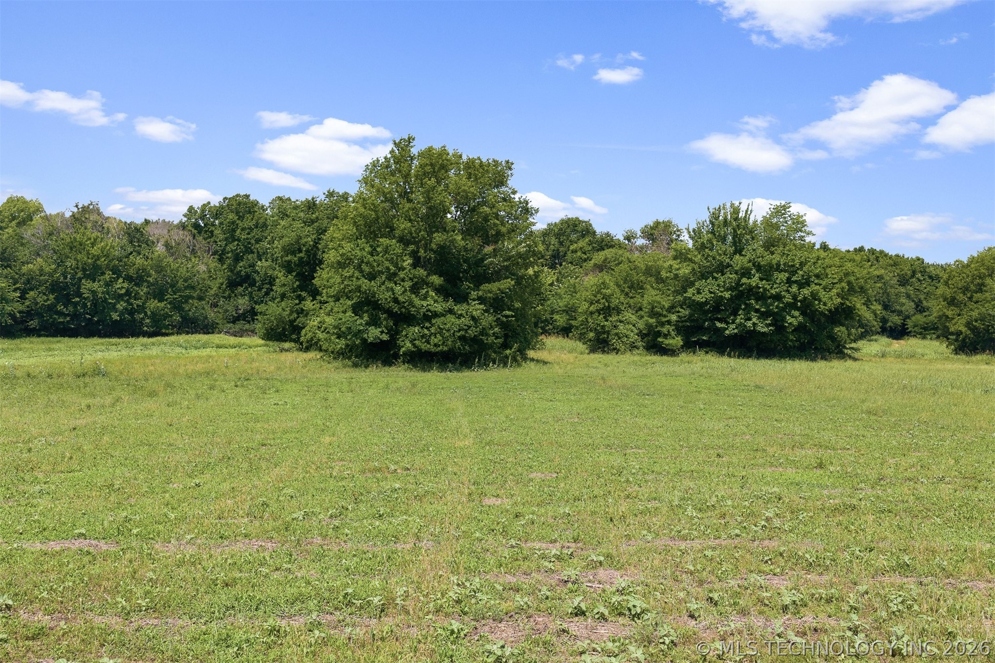 Zircon Property Photo 23