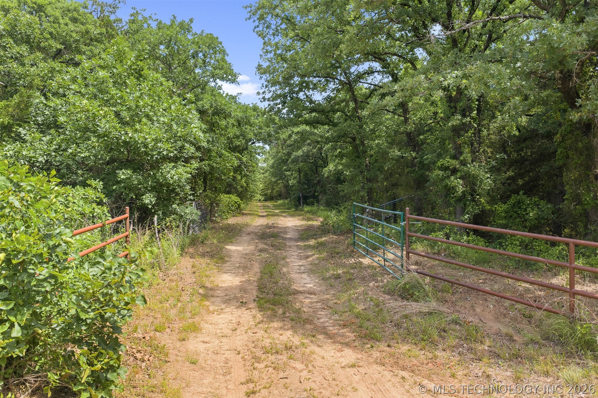 Zircon Property Photo 24