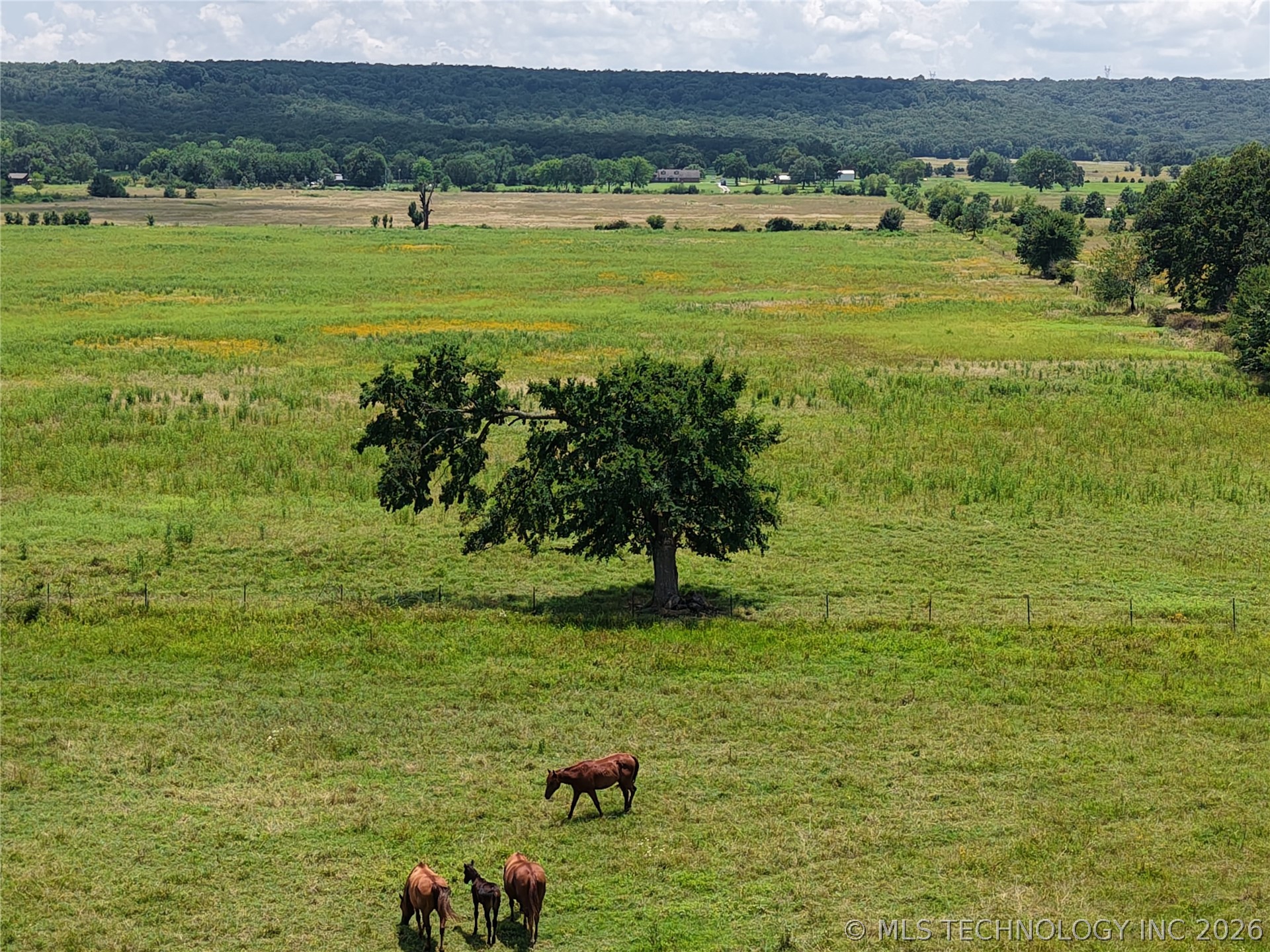 Rural Route Property Photo 9