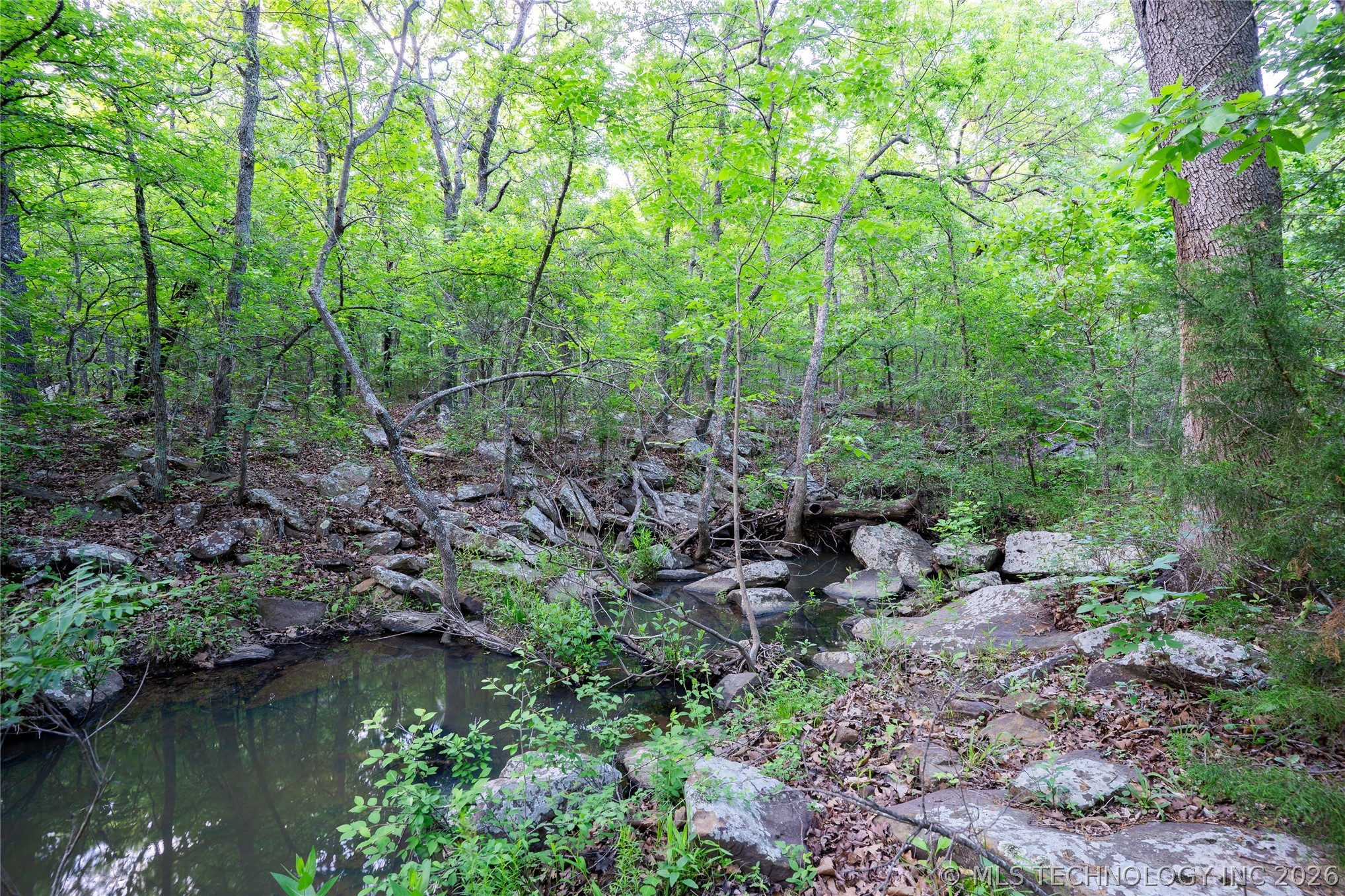 0002 Maple Drive Property Photo 3