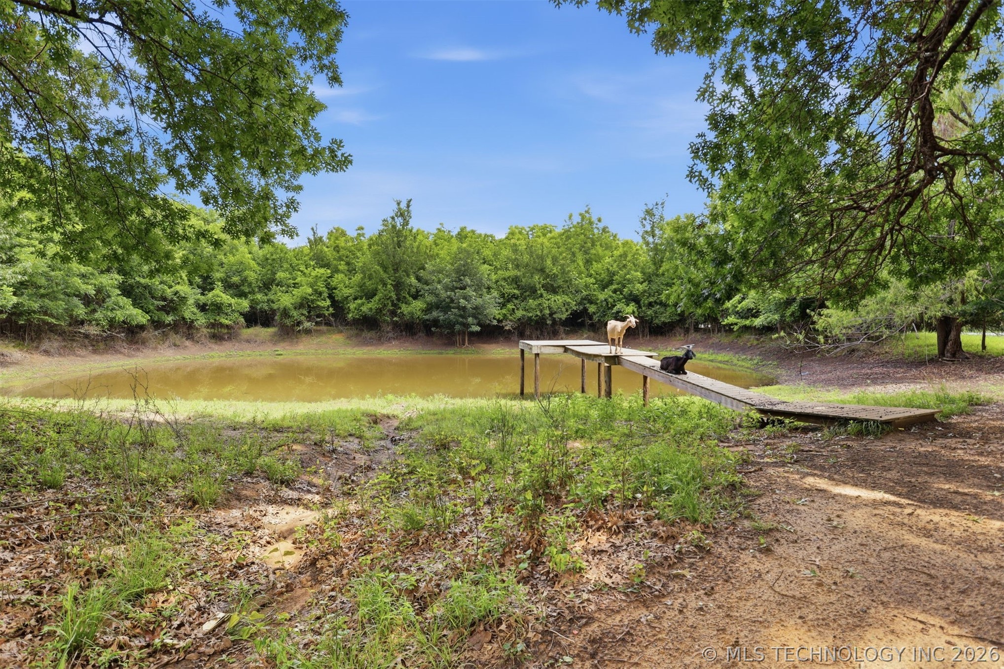 3715 Sawmill Property Photo 24