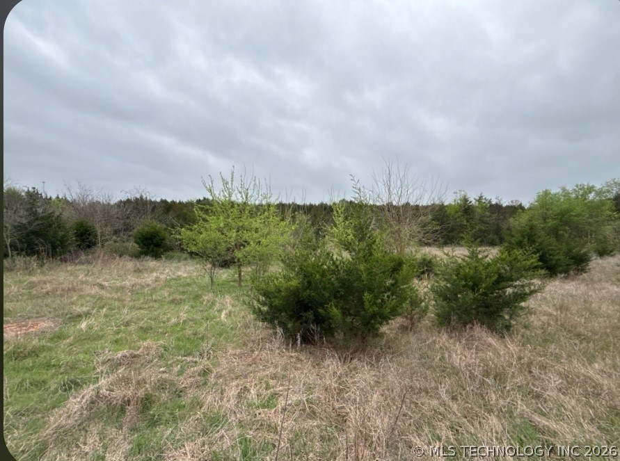 Bob Crouch Property Photo 3
