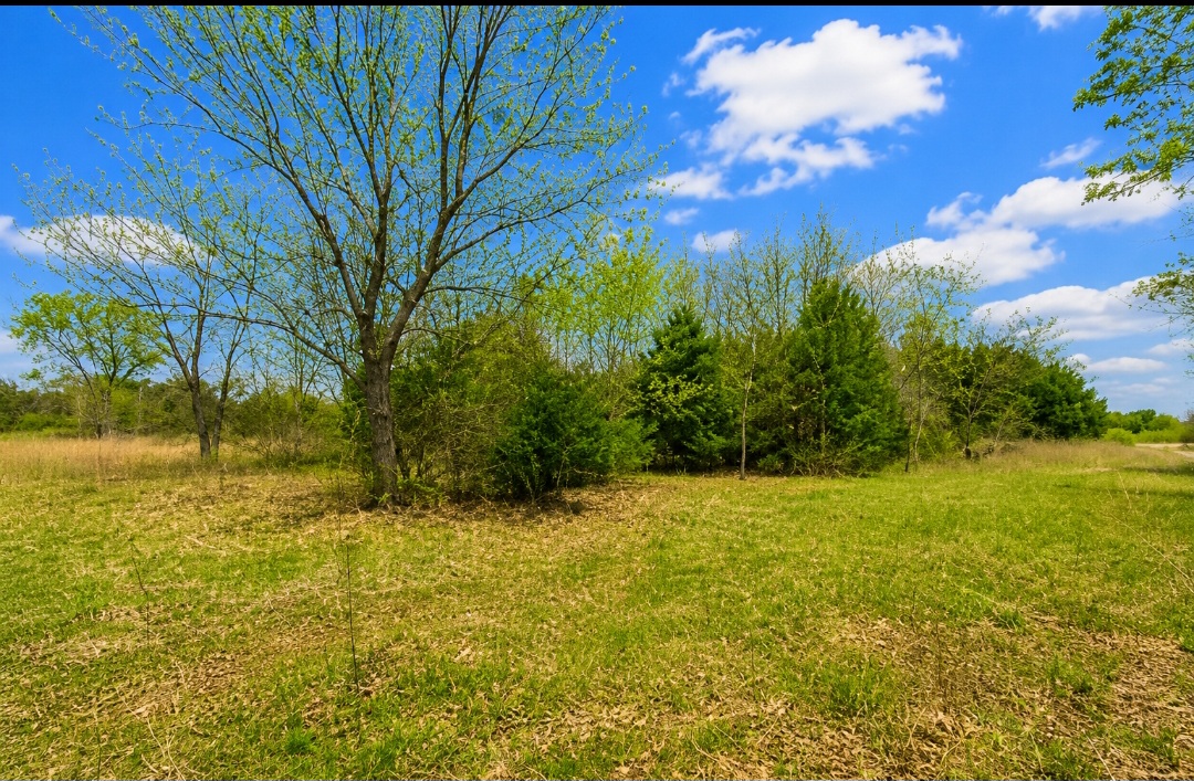 Bob Crouch Property Photo 11