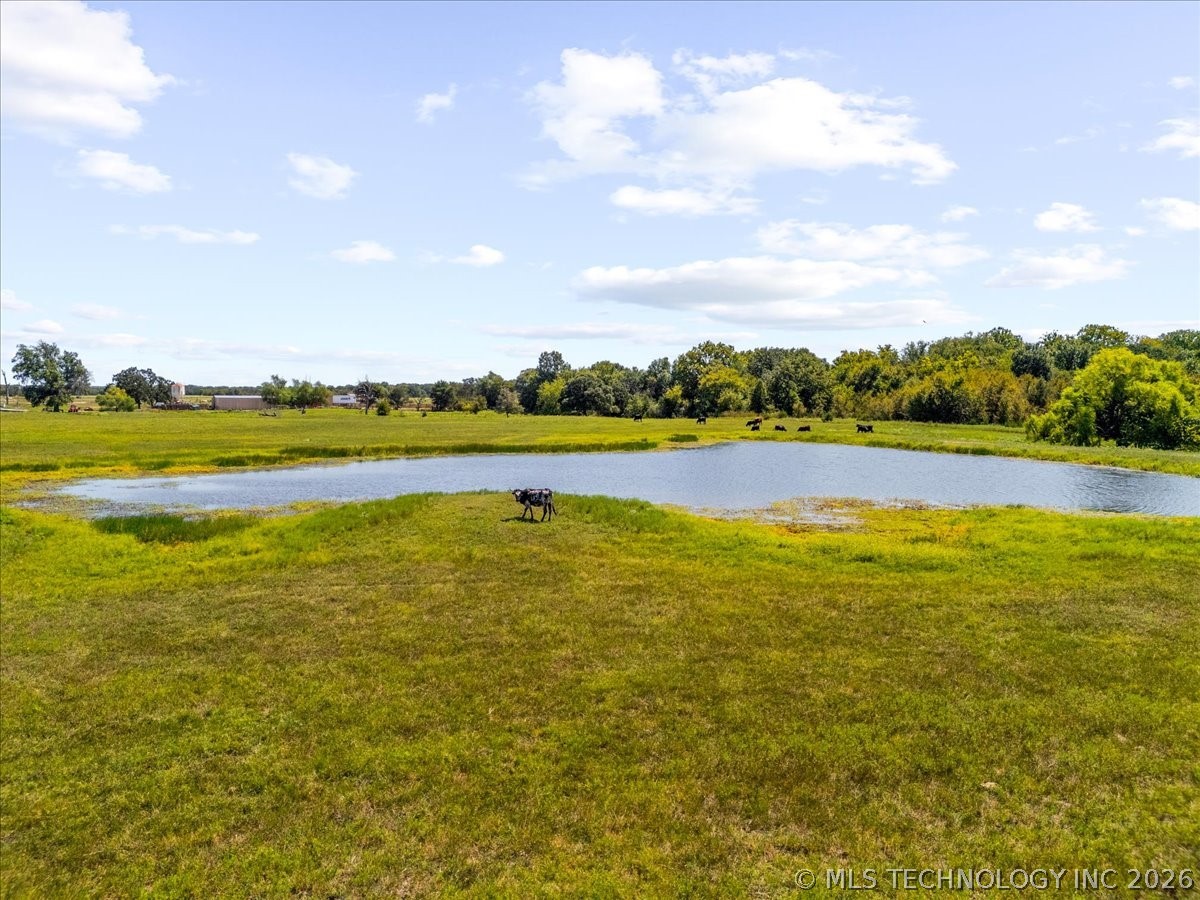 8 Wild Rose Road Property Photo 10