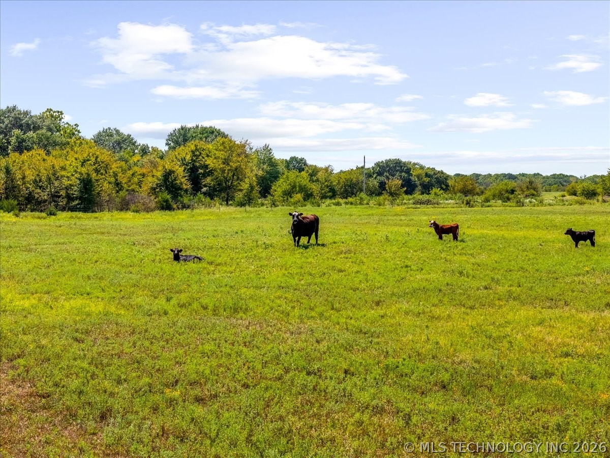 8 Wild Rose Road Property Photo 12